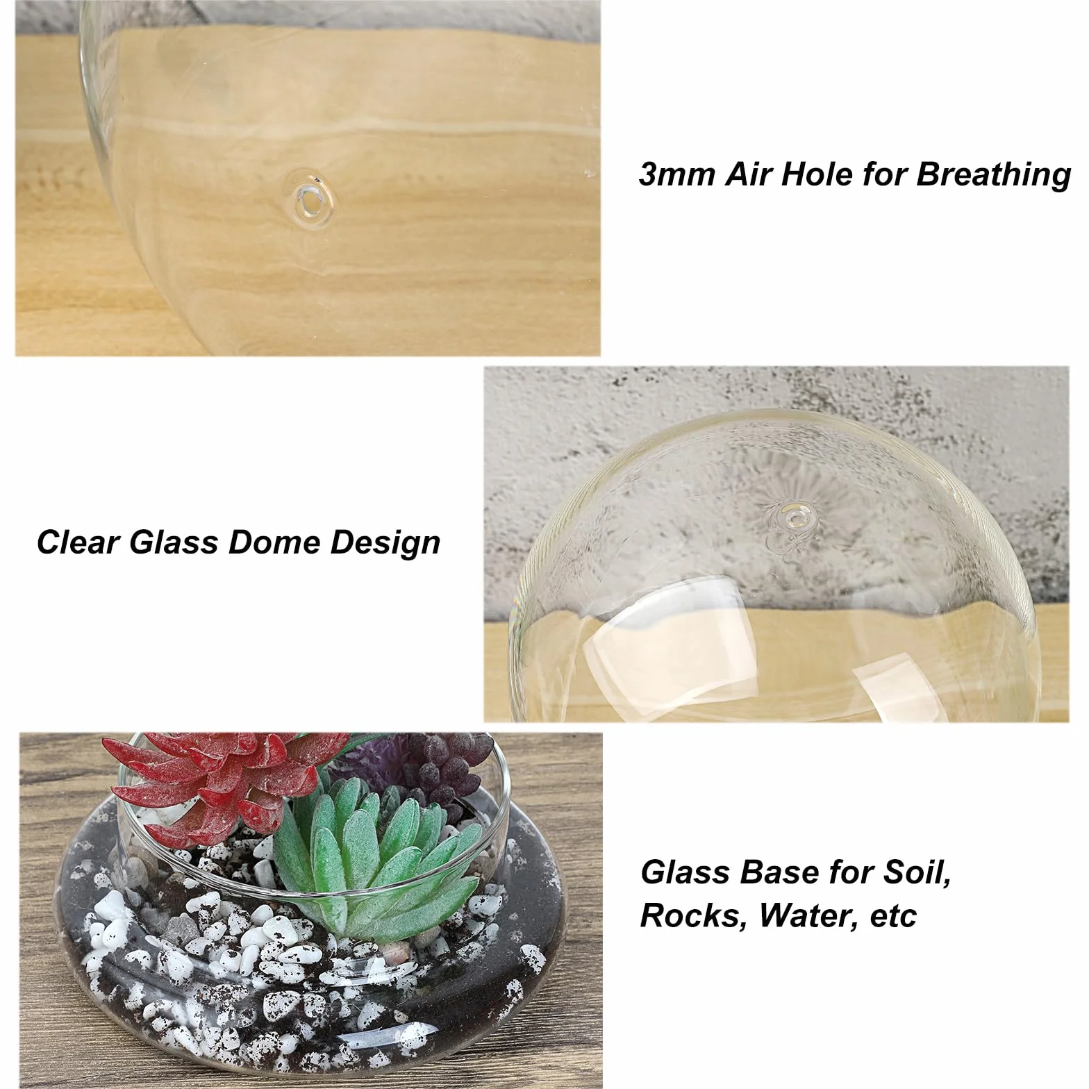 Mini pot de terrarium pour plantes succulentes - Dôme en verre transparent avec trou d'aération de 3 mm - Cloche décorative en verre avec fond en verre - Décoration de table pour bureau