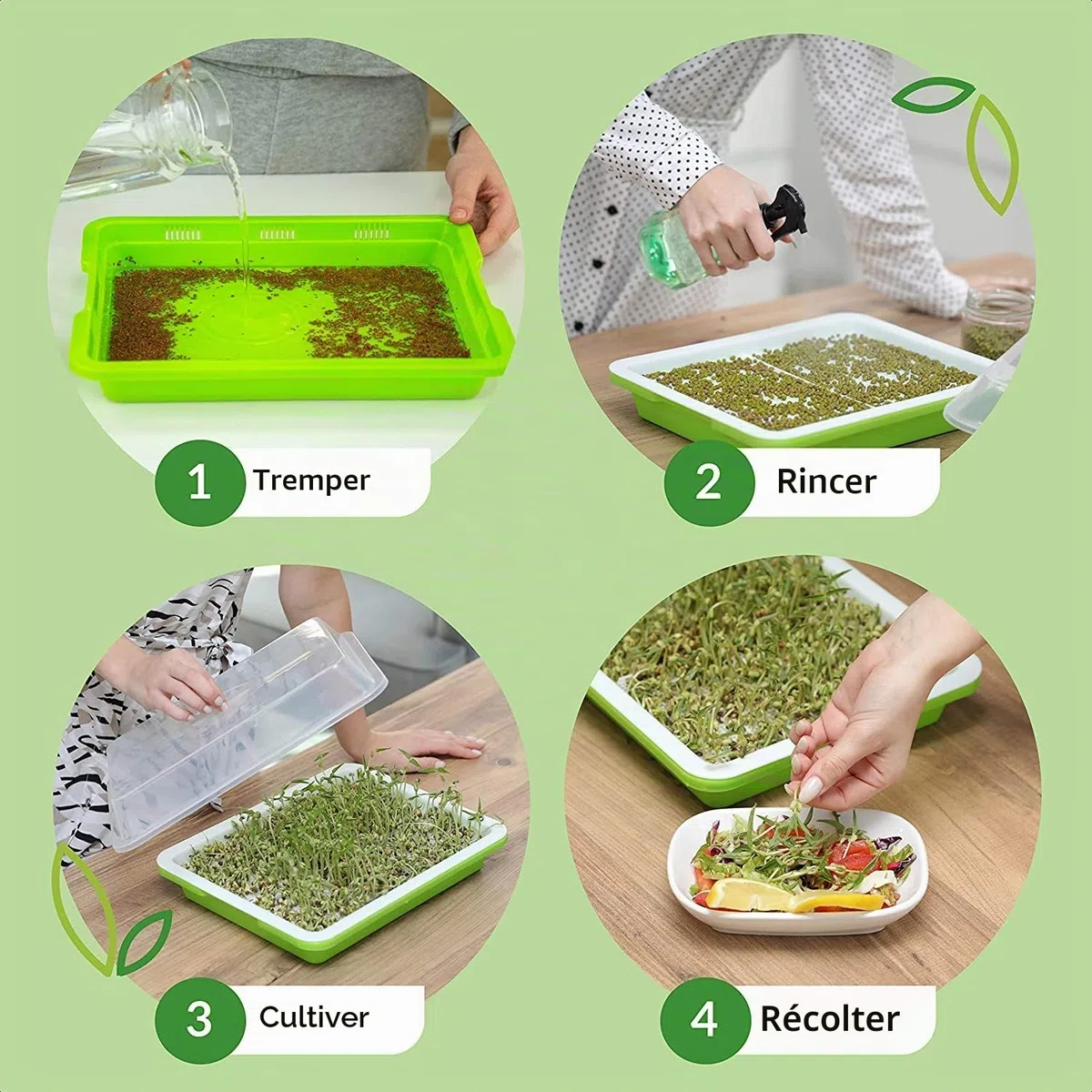 KAHEIGN 4 Pièces Plateaux de Germination de Graines avec Couvercle, 32CM x 26CM Plateau de Germination de Grande Capacité Propagateur Hydroponique Sain sans BPA avec 24 Papiers de Plantation