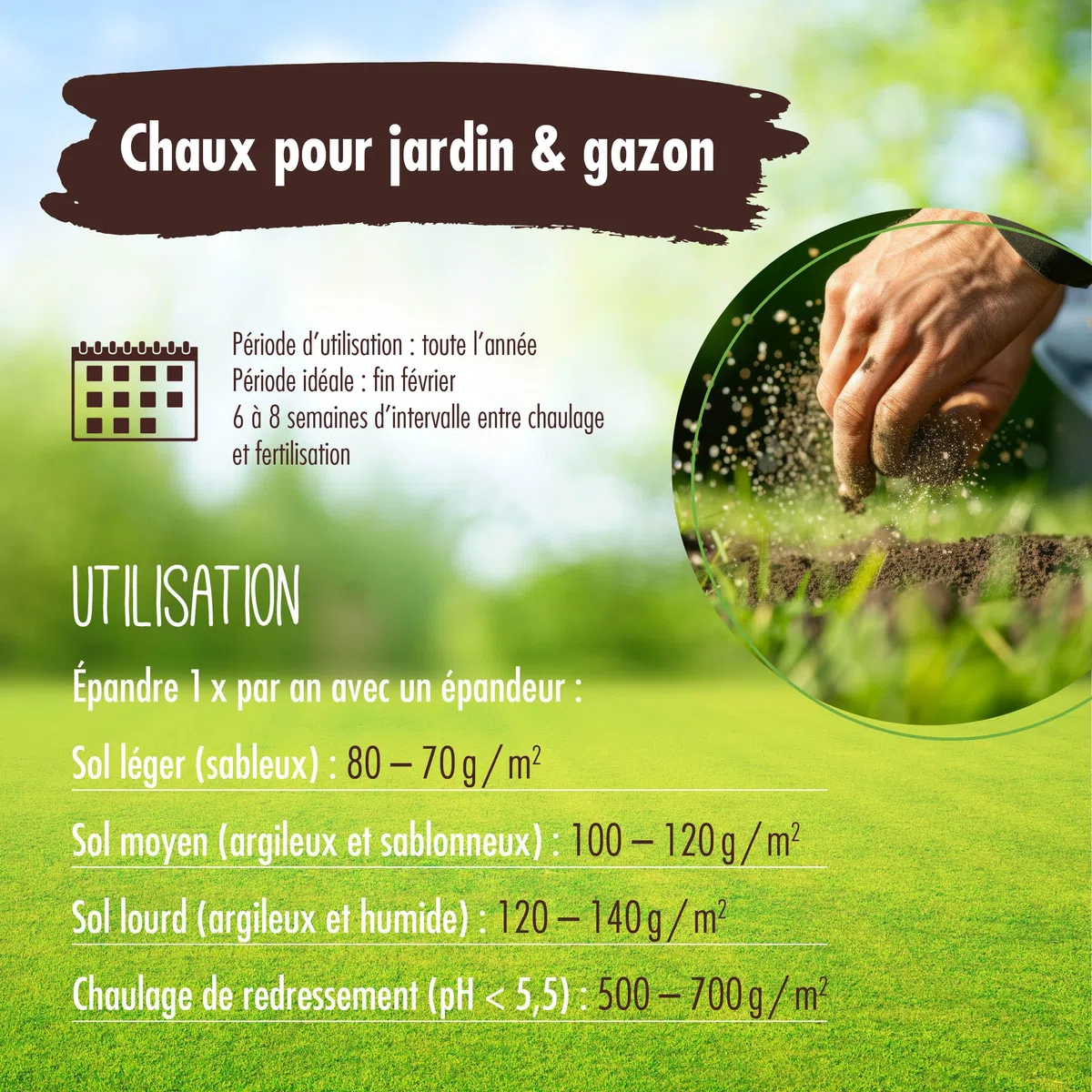Verdurmax 15 kg de chaux pour jardin et pelouse - Optimisation du pH - Amendement calcaire avec magnésium pour un vert intense - Améliore l’absorption des nutriments par l’herbe et les plantes