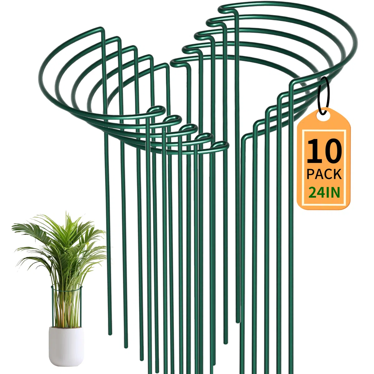 Lot de 10 60cm Haute Tuteurs pour Plantes, 25 cm de Diamètre Piquets Verts Demi-Ronds Support pour Plantes Support Plante,Aidez Vos Plantes à Pousser - Anneau de Support de Plante Pieux à Hortensias