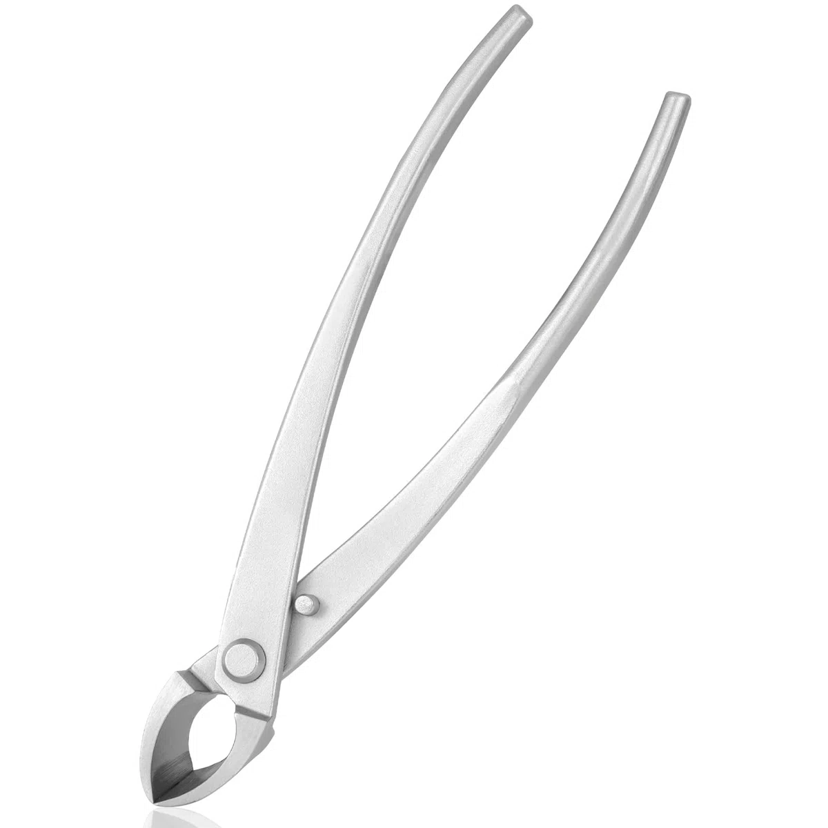 Jevie Cutter concave en acier inoxydable pour bonsaï et jardinage 20,3 cm