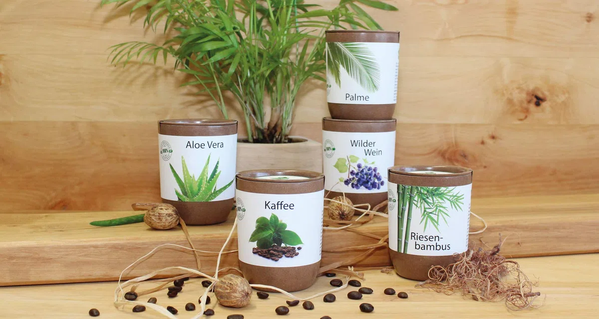 Feel Green Ecocan, Aloe Vera Exotics, Idée Cadeau (100% Biodégradable), Grow-Your-Own/Kit Prêt-à-Pousser, Le Pot Écologique Qui Croît 9 x 7 cm, Produit en Autriche