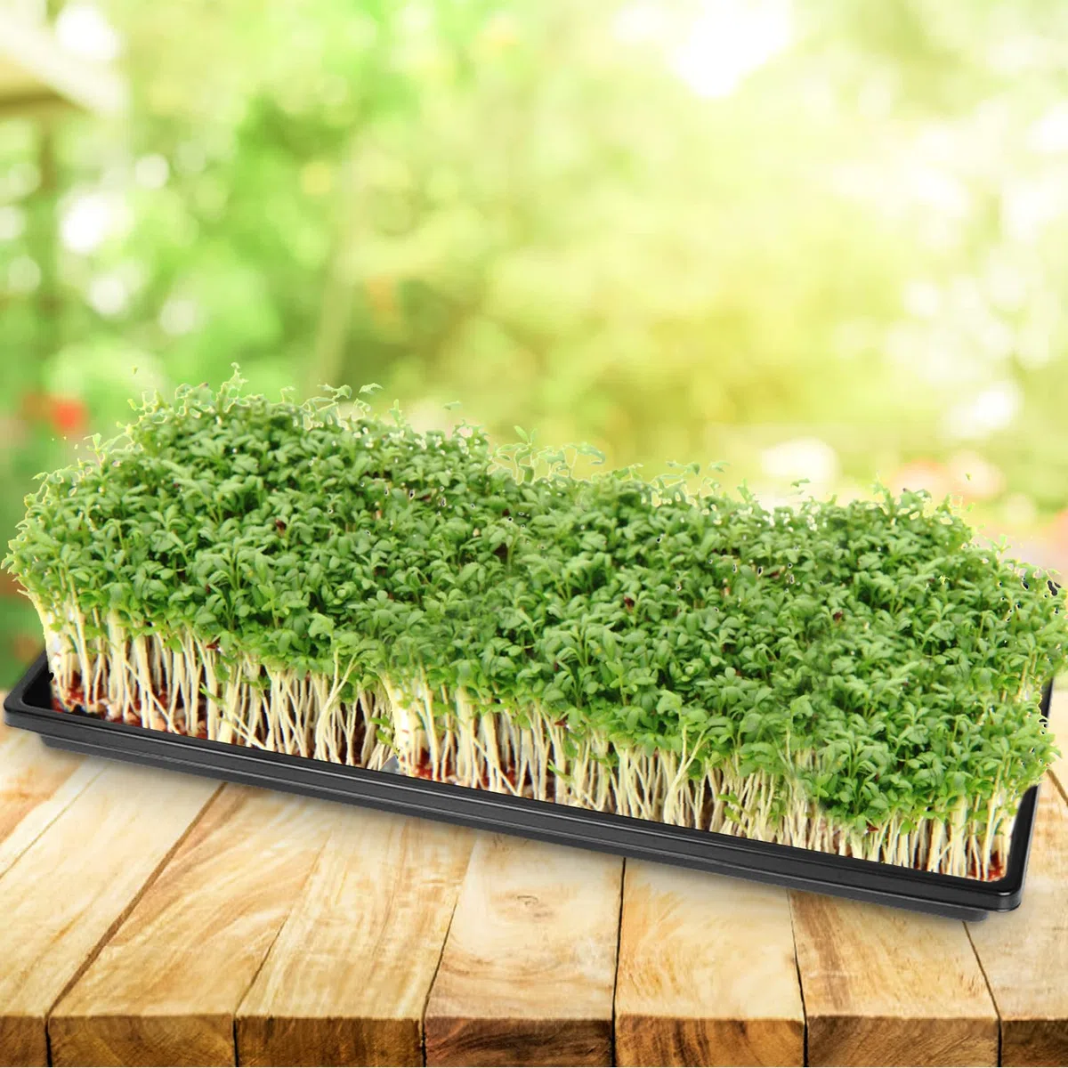 5 Pièce 51 x 25 cm Plateau de Semis Réutilisable Plateau de Culture | Bacs à Semis avec Étiquettes de Plantes pour Légume Fleurs Germination Hydroponique Jardin Serre (5)