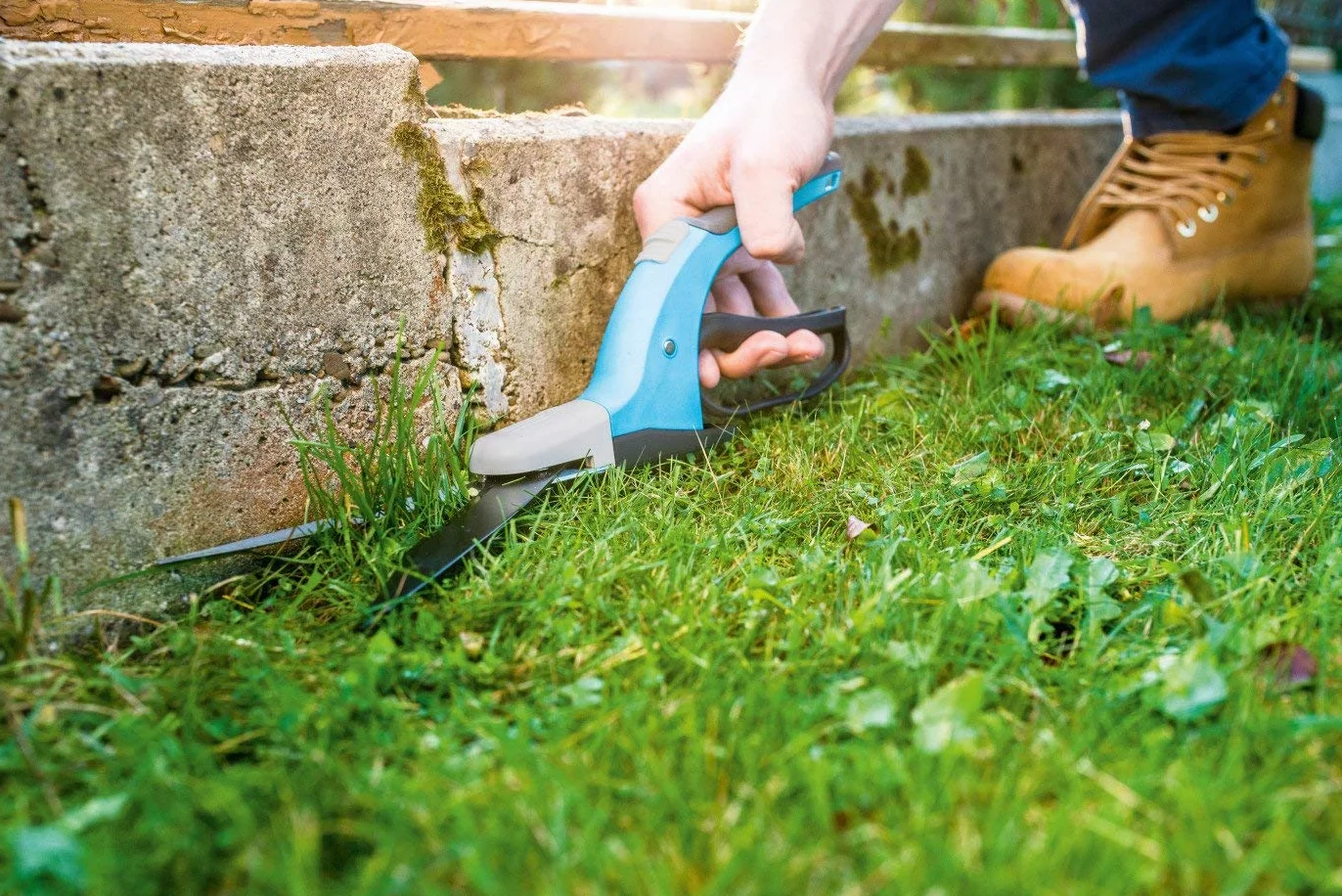 CELLFAST Cisaille À Gazon Une Main Scissors Jardin Ciseaux Pour Tailler Les Bords De L'Herbe Surface Antidérapante Hauteur De Coupe Constante Lame 13 cm Antiadhésive