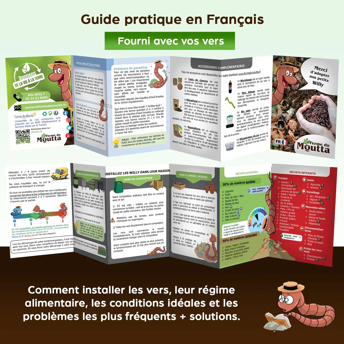 Moutta | 250 gr de Vers de Compost (≃ 500 pcs) | Vers de terre vivants Eisenia, compostez vos déchets organiques - Pour lombricomposteur/composteur/jardin