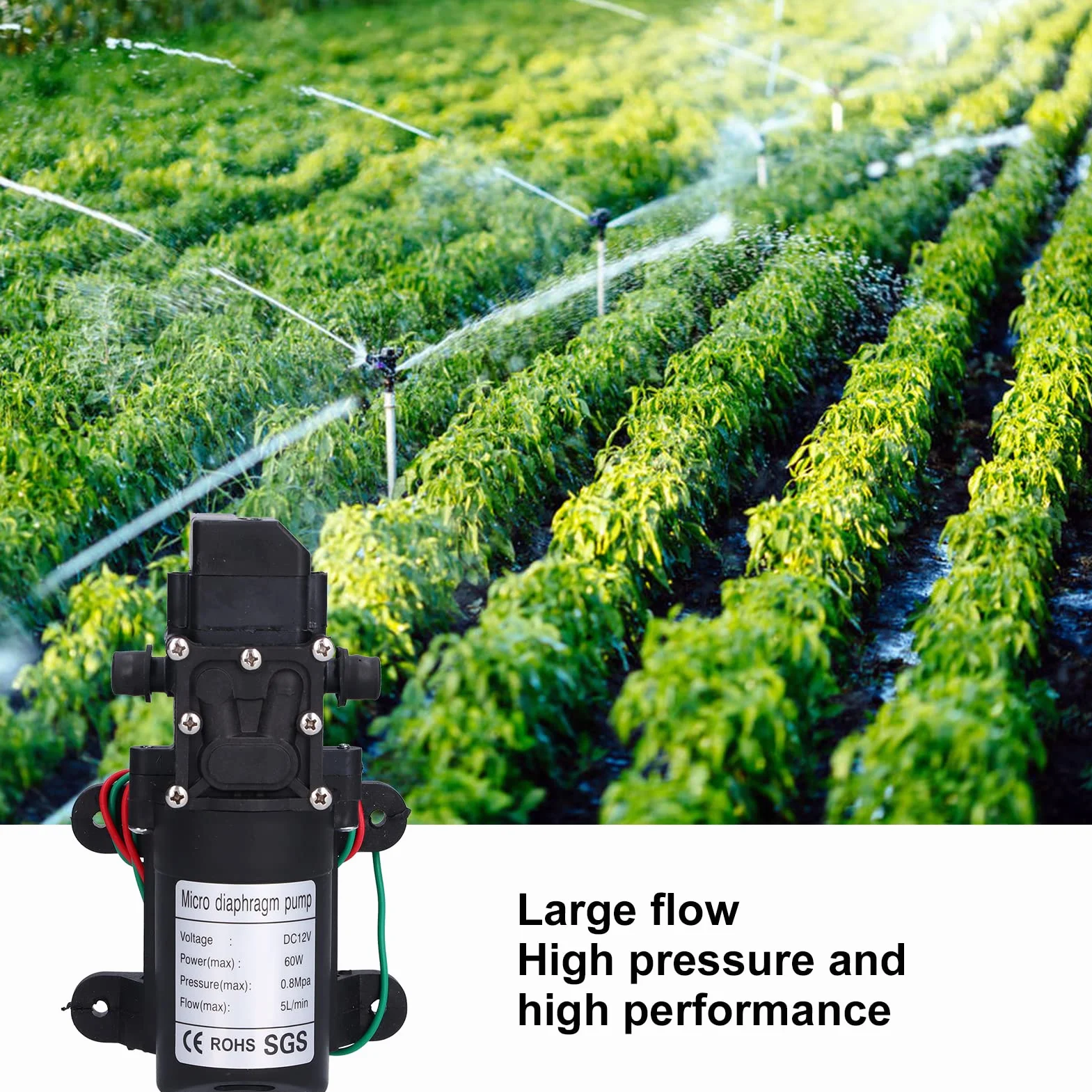 Pompe à Diaphragme 12 V, 60 W 5 L/min 0,8 MPa Pompe de Pulvérisateur Auto-amorçante à Grand Débit avec Arrêt et Démarrage Automatiques, Pompe de Surpression D'eau pour Irrigation de Jardin, Piscines