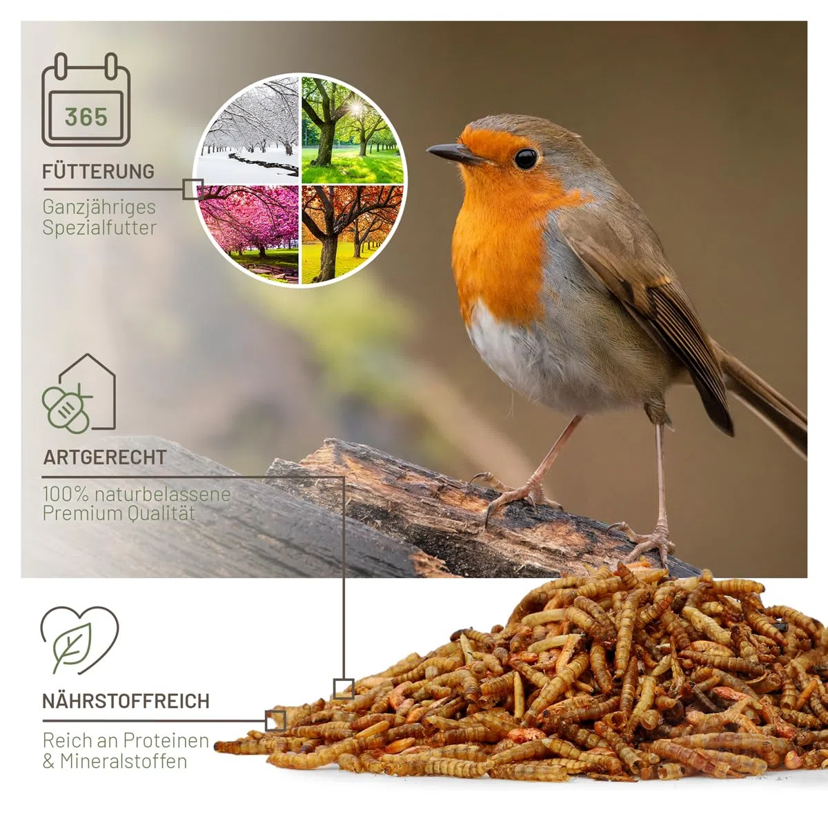 wildtier liebe Vogeltraum Mélange d'insectes de qualité supérieure 2,5 l I Vers de farine séchés, larves d'insectes et gamarus pour oiseaux I Vers de farine séchés, nourriture pour oiseaux sauvages,