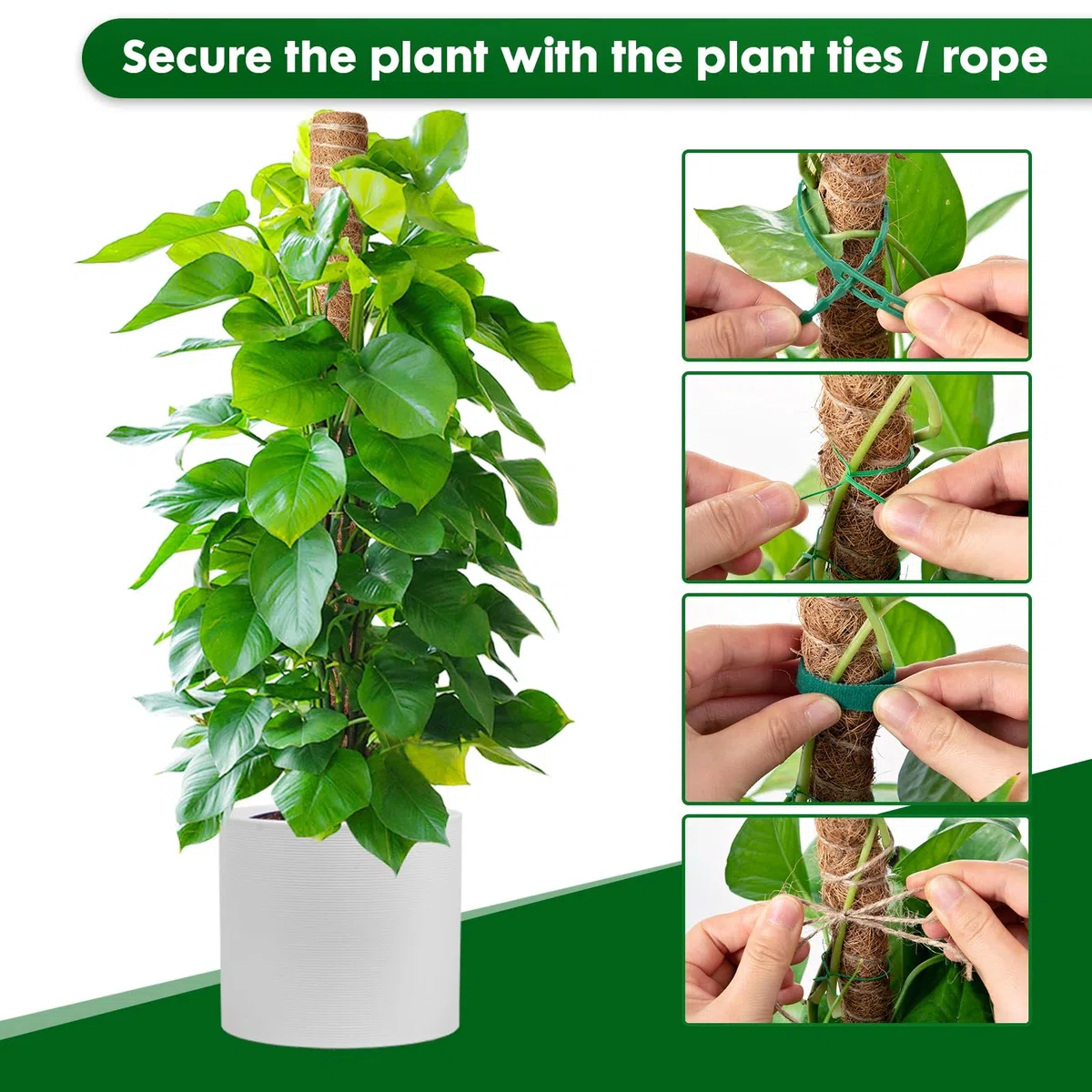 Mactoou Tuteur Monstera, 4 Pièces 41cm Tuteur Coco, Extension Sphaigne Jusqu'à 120cm, Tuteur Plante Grimpante pour Monstera Maison Jardin de Support de Plante