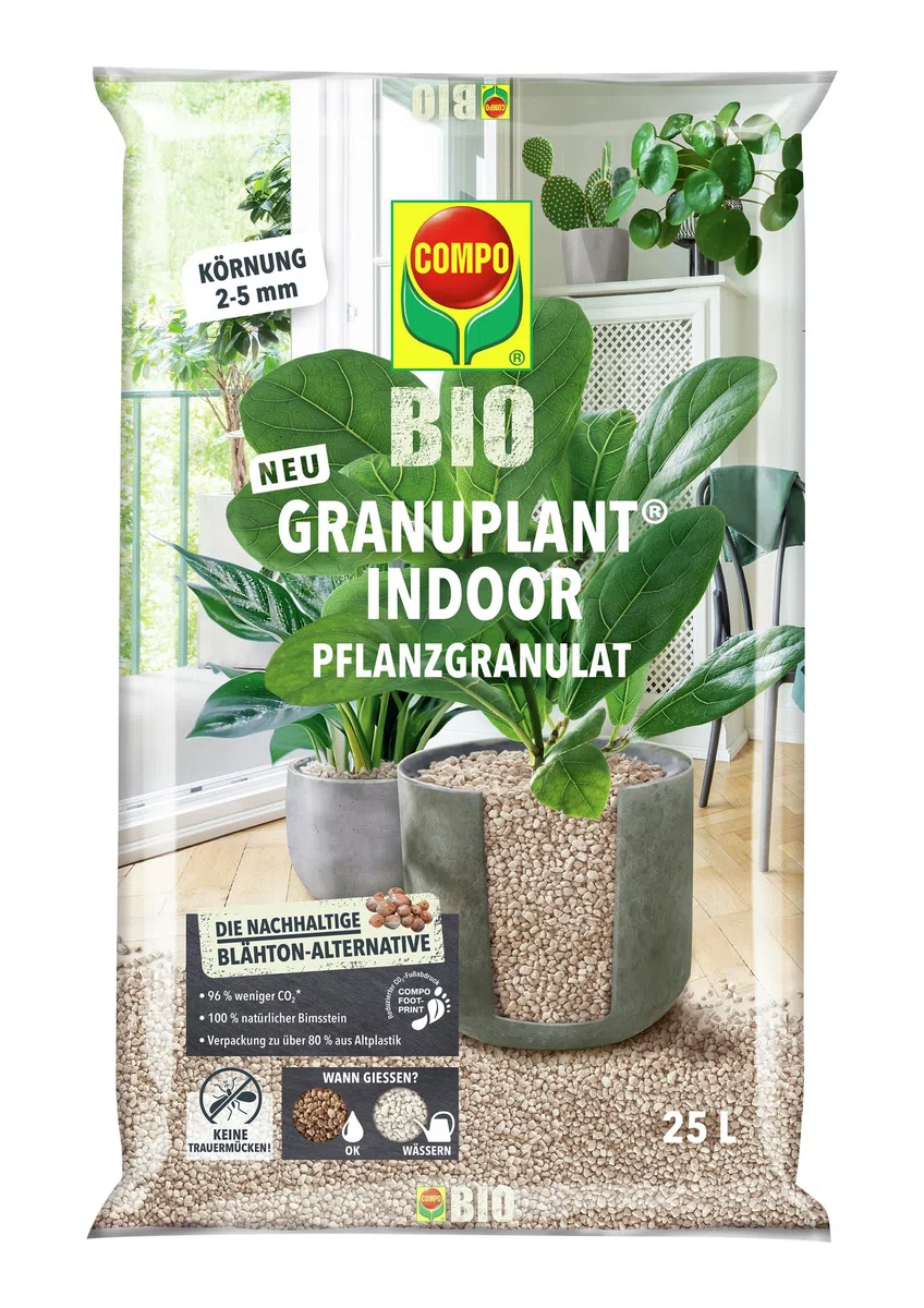 COMPO Bio Granuplant Granuplant, granulés de Drainage et de Plantation d'intérieur - Pierre Ponce 100% Naturelle - Alternative Durable à l'argile expansée - 6 litres