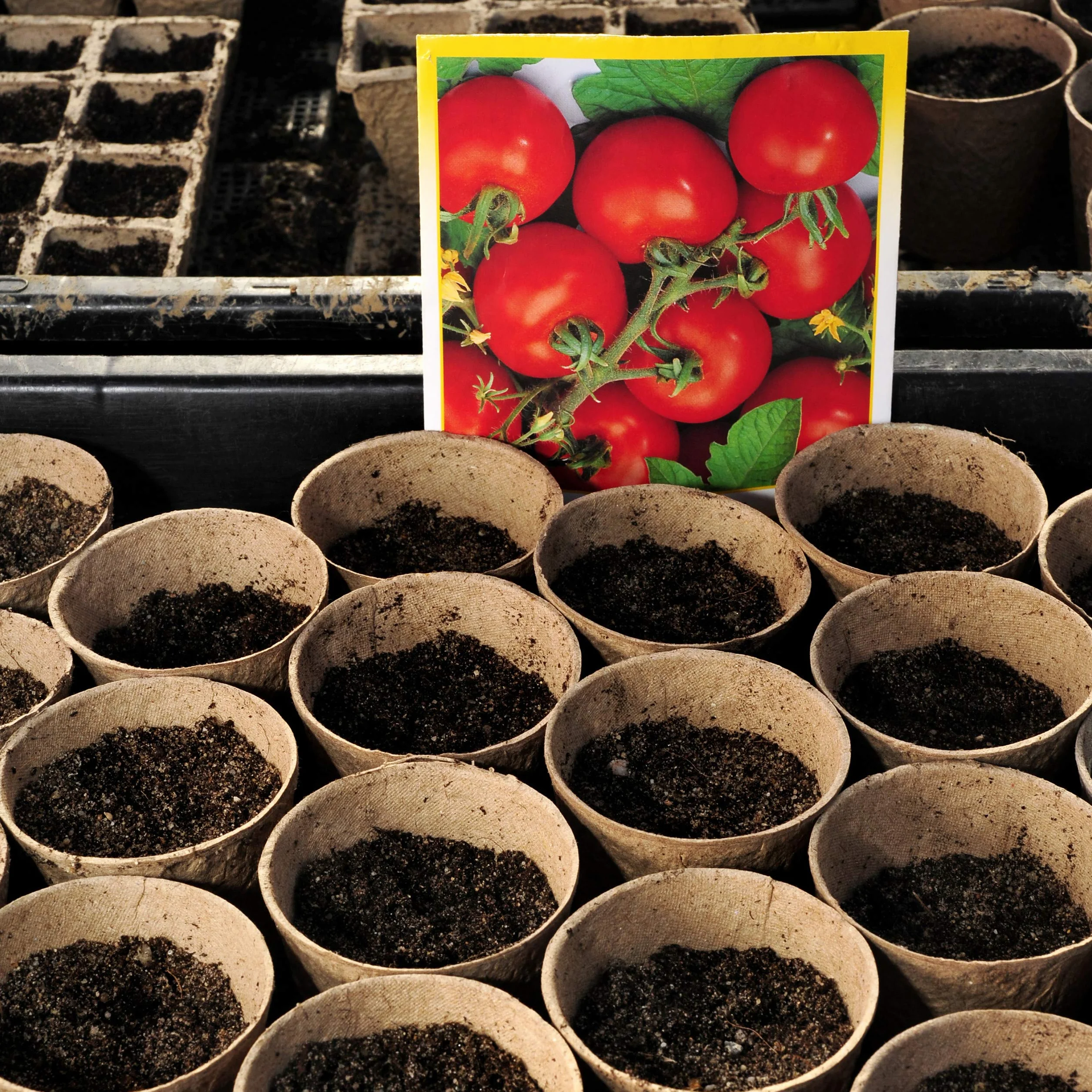 relaxdays Godets semis Lot de 120, Cellulose, H x D 7,5 x 8 cm, Pots de Jardinage Ronds, Petit, Nature