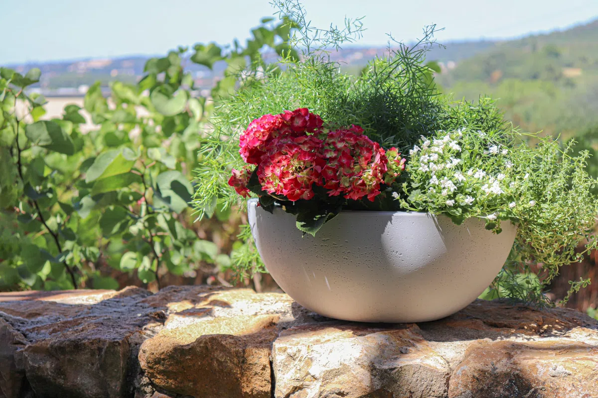 EDA - Vasque Basalt'Up 30 cm - 5,5 L - Décor Imitation Béton - Ø 29,5 x H.12 cm - Gris béton