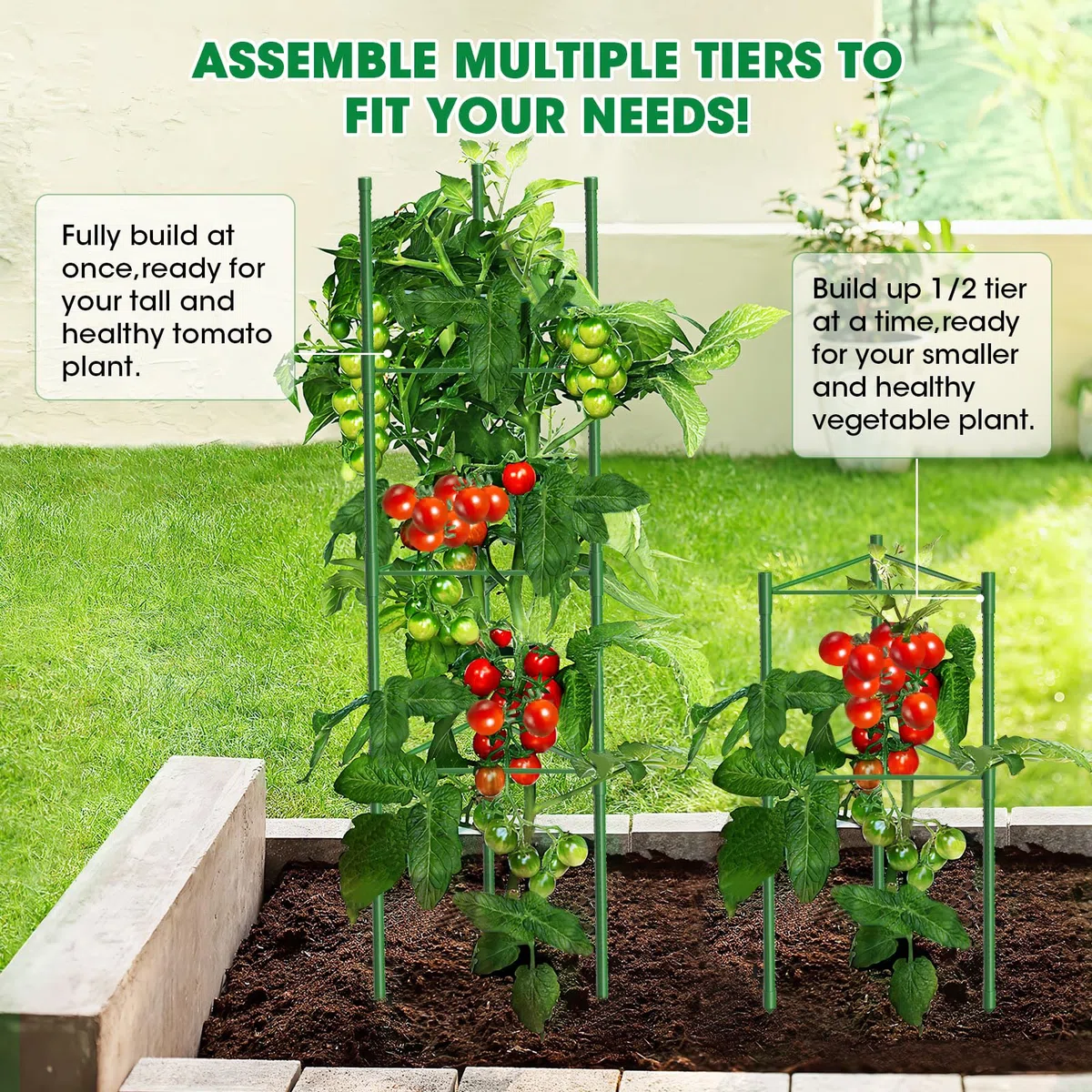 MQUPIN Tuteur Tomate,3pcs Cage à Tomates Support,130cm Vertical Cage à Tomates Treillis pour Jardin, piquets de Support pour Plantes grimpantes, légumes et Fleurs,Légumes et Fleurs
