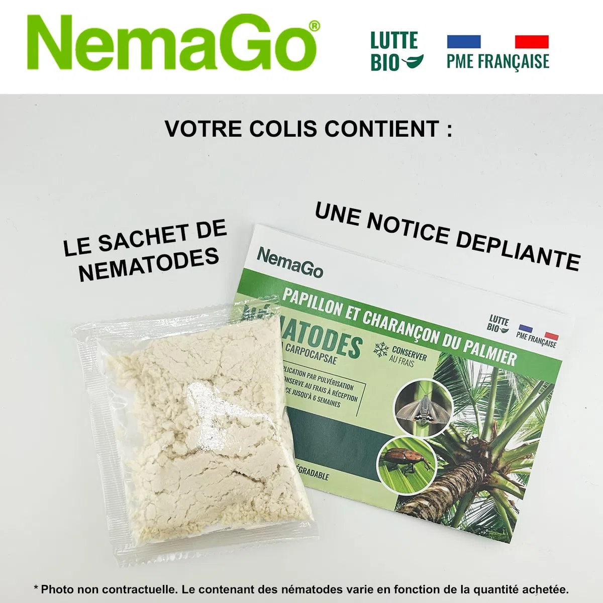 Nématodes Traitement contre le Papillon du Palmier et le Charançon Rouge - Traiter 2 à 6 Palmiers - Lutte biologique - Anti vers et larves