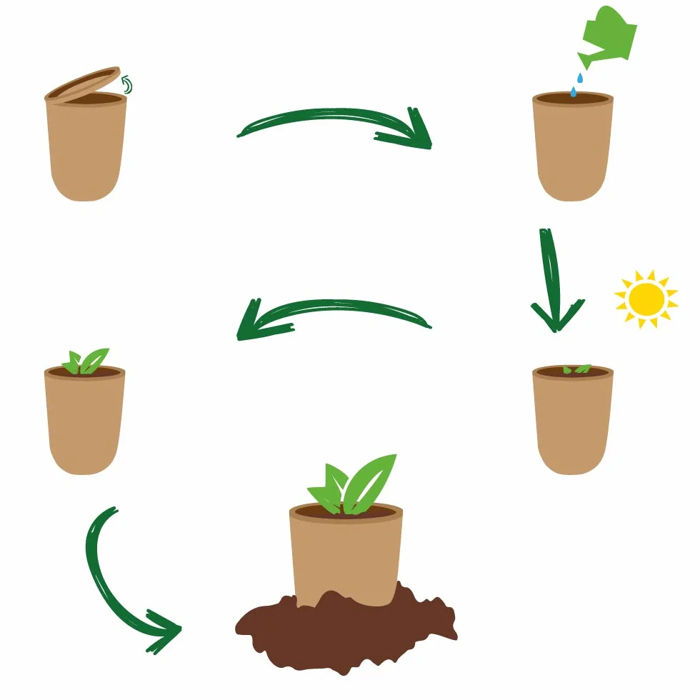 Feel Green Ecocan, Aloe Vera Exotics, Idée Cadeau (100% Biodégradable), Grow-Your-Own/Kit Prêt-à-Pousser, Le Pot Écologique Qui Croît 9 x 7 cm, Produit en Autriche