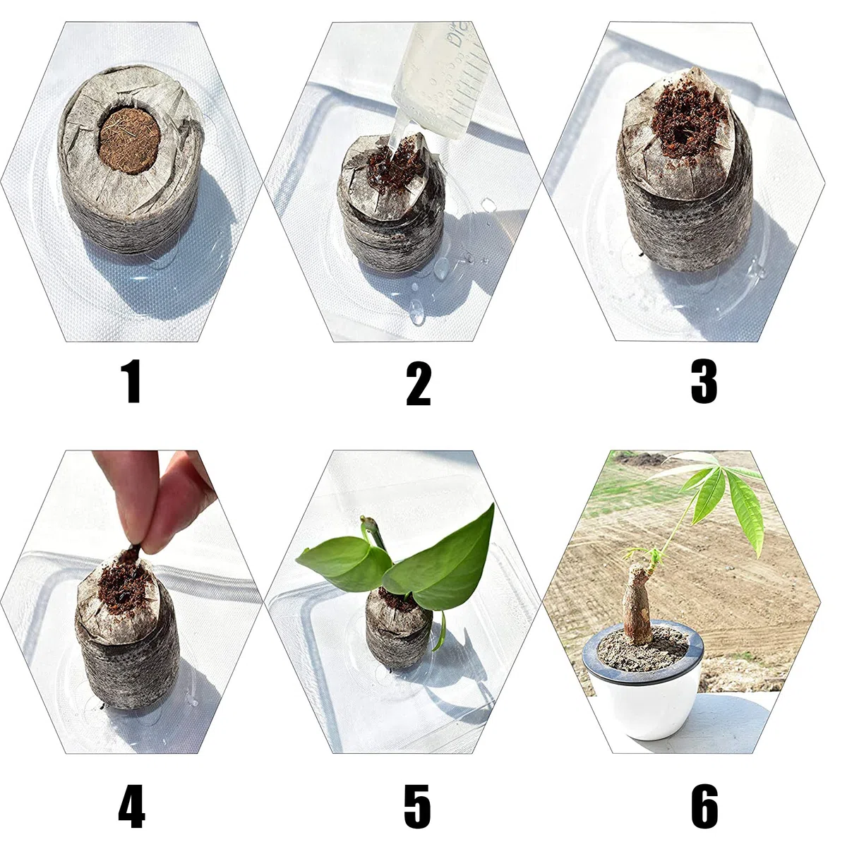 Woohome 202 PCS Pots Biodégradables et Pastilles de Tourbe pour Semis, Pot de Semis en Fibre Biodégradable, Pastilles de Tourbe Compressée, Outil de Sol Meuble pour Plantes de Jardin Marron
