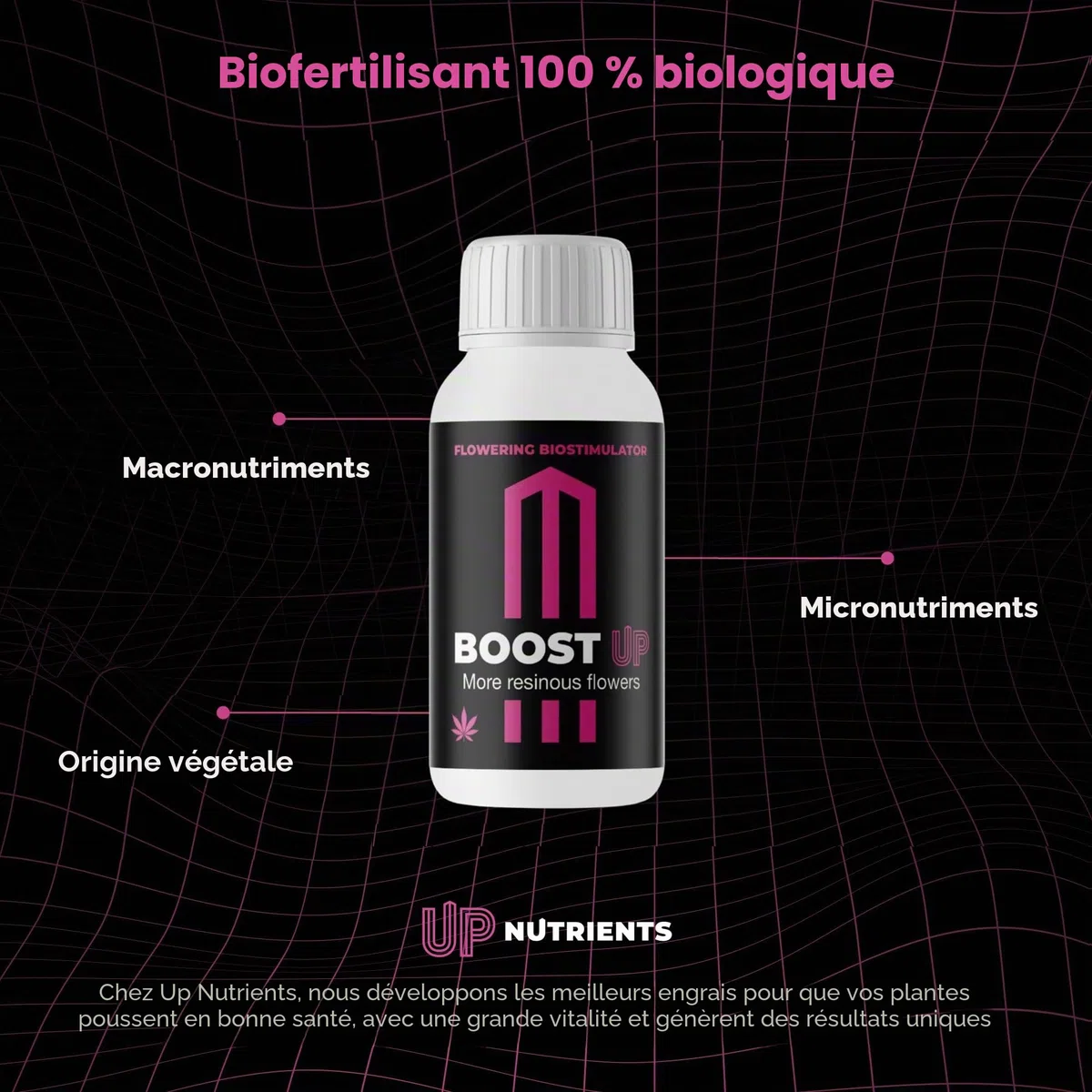 GROWMANIA Bio Bloom de BioBizz 1L + Échantillon Boost Up de Up Nutrients + Verre Doseur | Biobloom Engrais Organique pour une Floraison Complète | Convient à Tous Types de Plantes