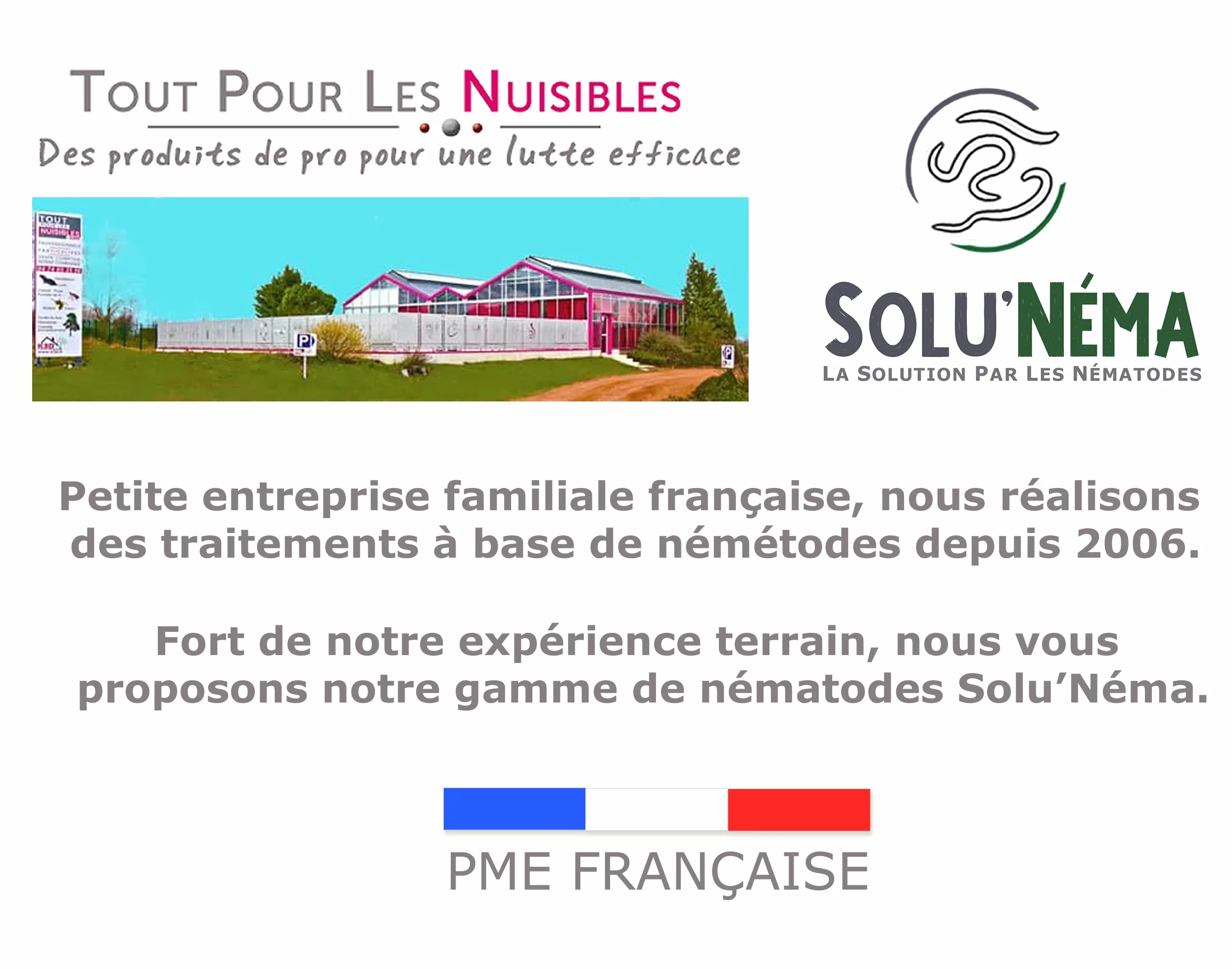 SOLUNEMA - Nématodes Contre le Papillon du Palmier et le Charançon Rouge - 50 millions - Pour 4 à 6 Palmiers