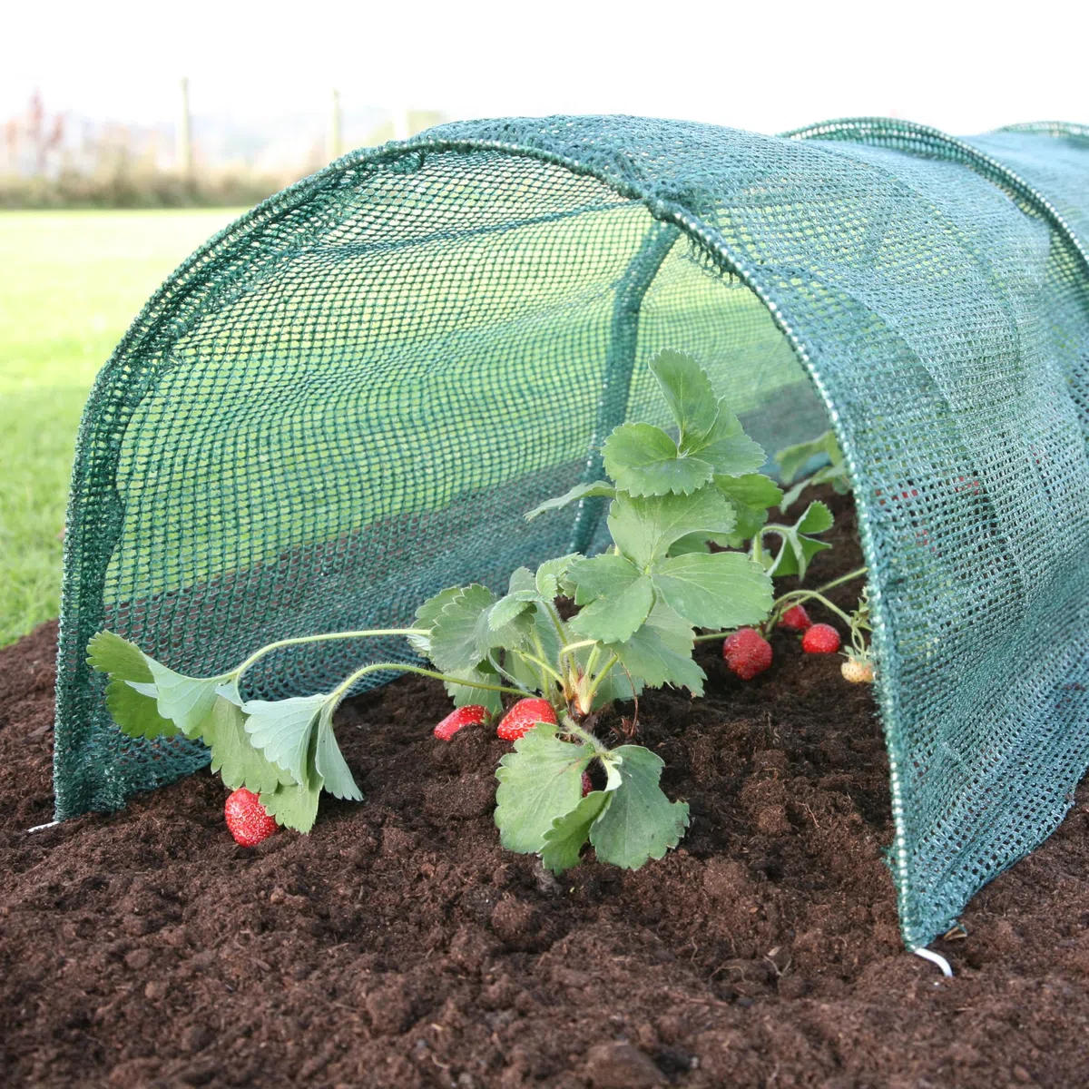 Bosmere Haxnicks Etun040101 Easy Tunnel, Serre Chenille, Blanc, 300 cm x 45 x 30 cm Tunnel à Filet Facile 300x45x30 cm Green