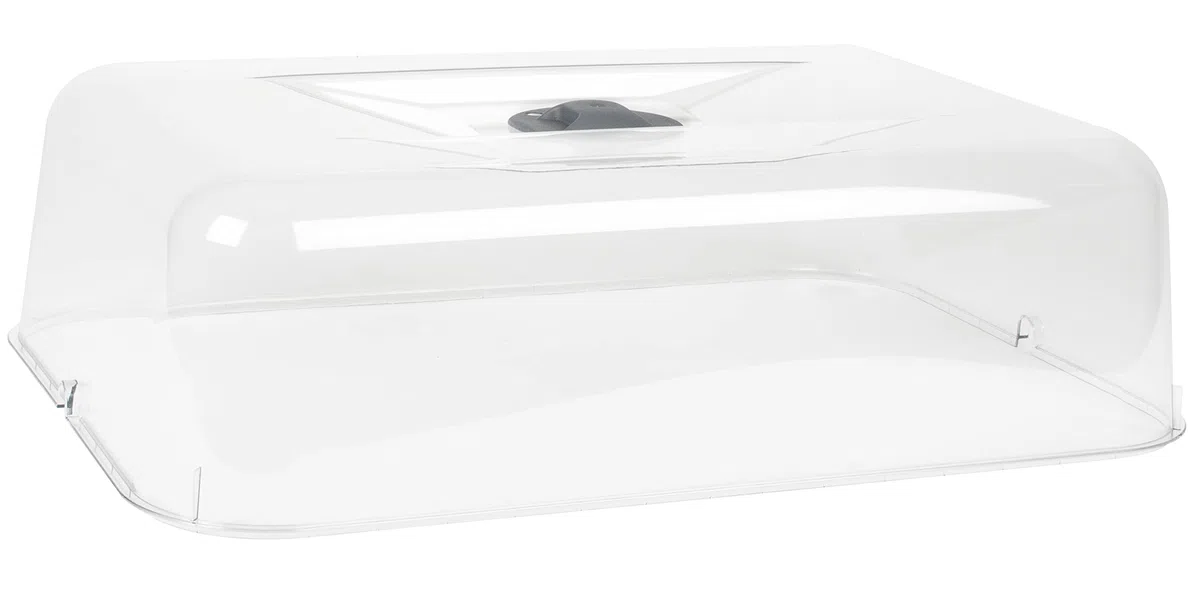EDA - Mini Serre de Culture Veg&Table - 15,7 L - Taille L - Couvercle avec Système d'Aération Inclus - Plateau pour Semis - 56 x 38 x H. 24 cm - Gris Anthracite