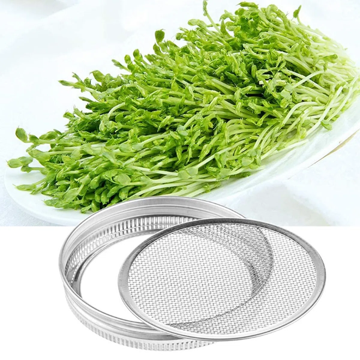 ibasenice Kit de Germination à Bocal Mason 500 ML Couvercle en INOX et Support Noir Incliné – Ensemble pour Germoir de Graines, Culture Maison, Drainage et Aération Efficace