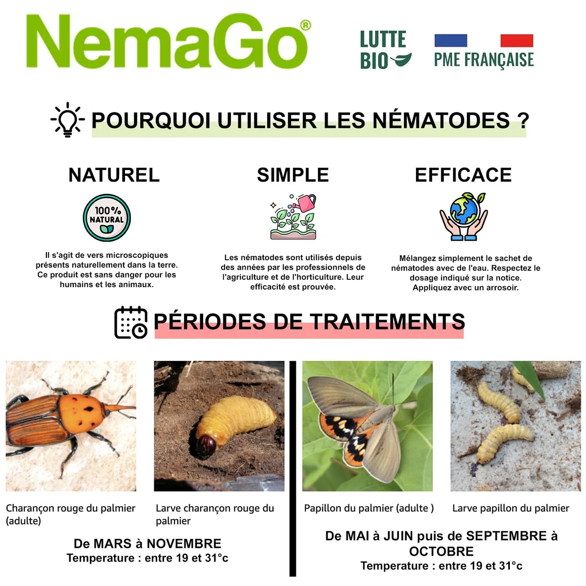 Nématodes Traitement contre le Papillon du Palmier et le Charançon Rouge - Traiter 2 à 6 Palmiers - Lutte biologique - Anti vers et larves