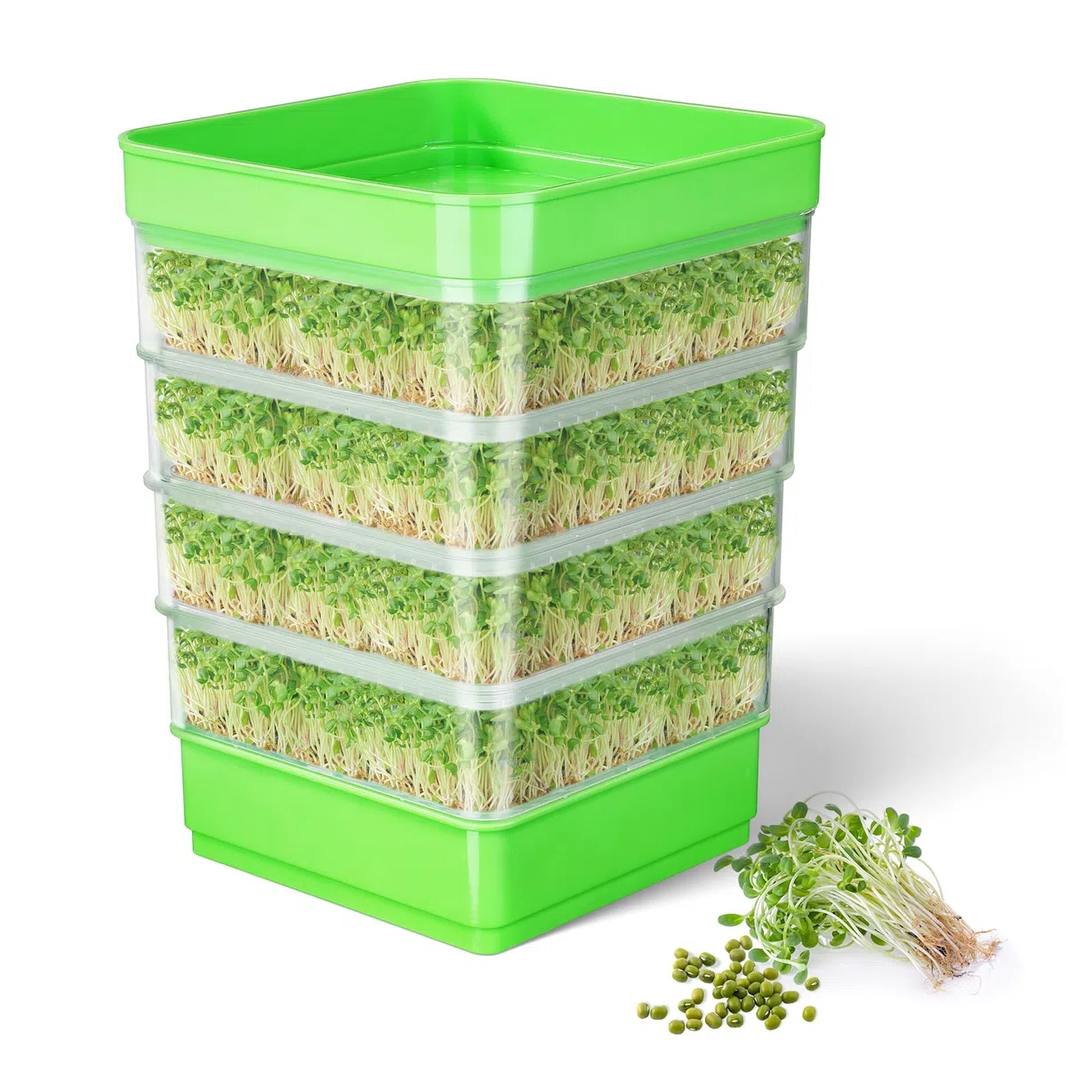 Kit de Germination de graines, kit de Culture de germes de Haricots à 4 étages, Plateaux de Culture de Micro-organismes Verts empilables pour Haricots, Luzerne et Herbe de blé