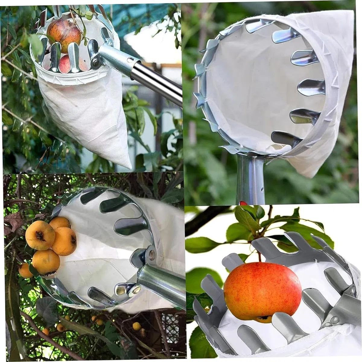 420cm Ramasse Fruit INOX, Cueille Fruit Con Perche, Cueilleur Fruits Amovible, Cueille Cerise, Cueille Pomme, Cueille Fruit, Outil Cueillette Jardin， Cueille-Fruits avec Sac, Ramasse Pomme