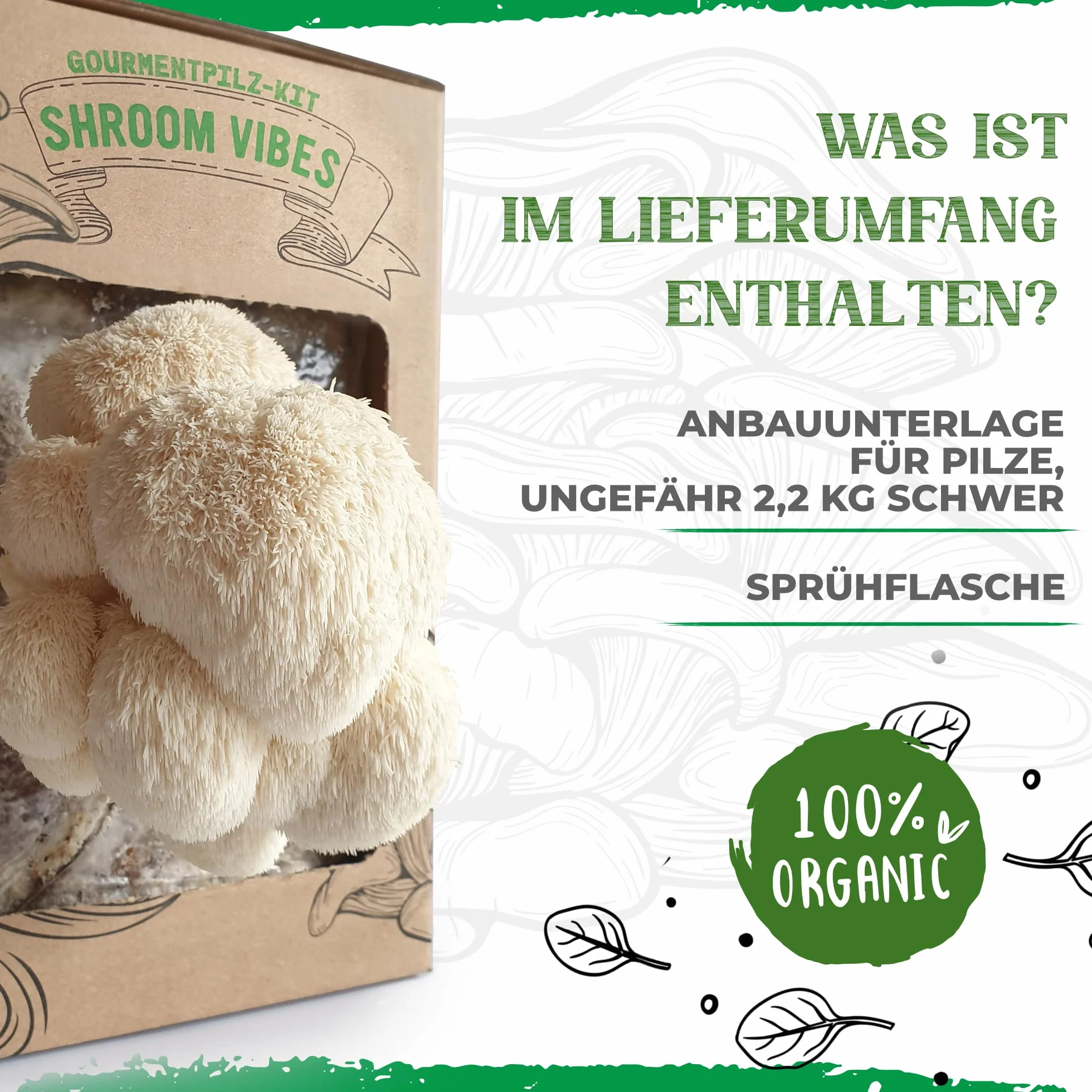 BIO Kit d'élevage de champignons | Champignons Grifola (Hericium erinaceus) un jeu d'enfant à cultiver | Kit de culture de champignons pour la maison | Kit complet de culture de champignons de qualité