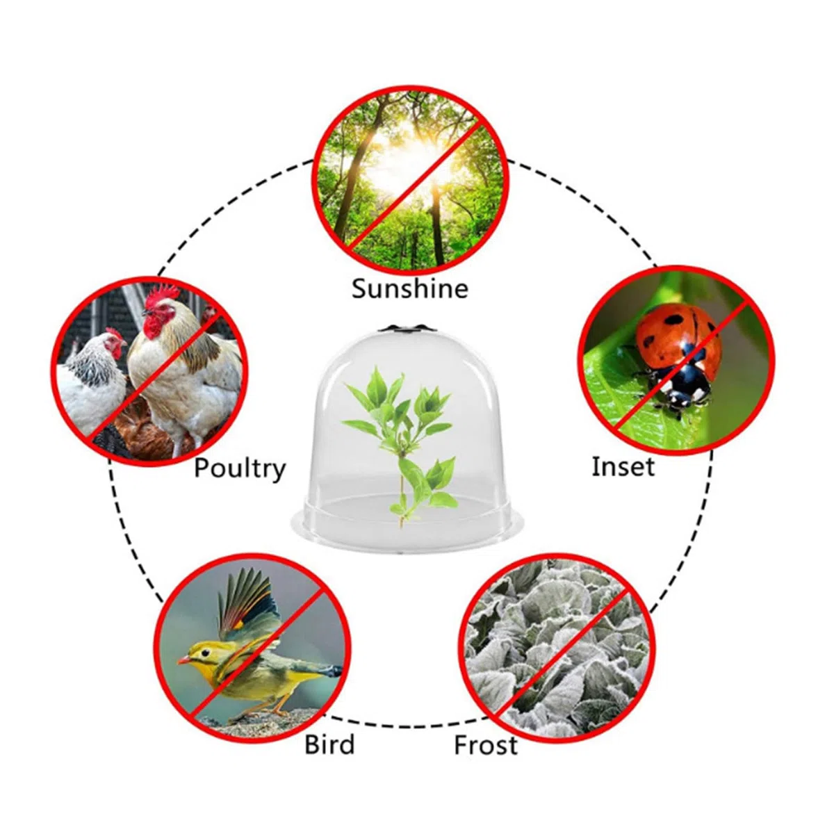 Cloche de jardin en forme de dôme pour plantes et humidité réutilisable
