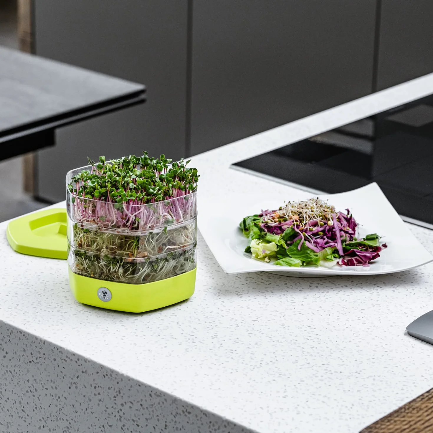 Flower Lover Germoir pour Graines à Germer et Micro-pousses - Microgreens Coupelle de Germination à 3 Étages - Set de 3 Bacs de Germination en Plastique, 17 cm (Avocat)