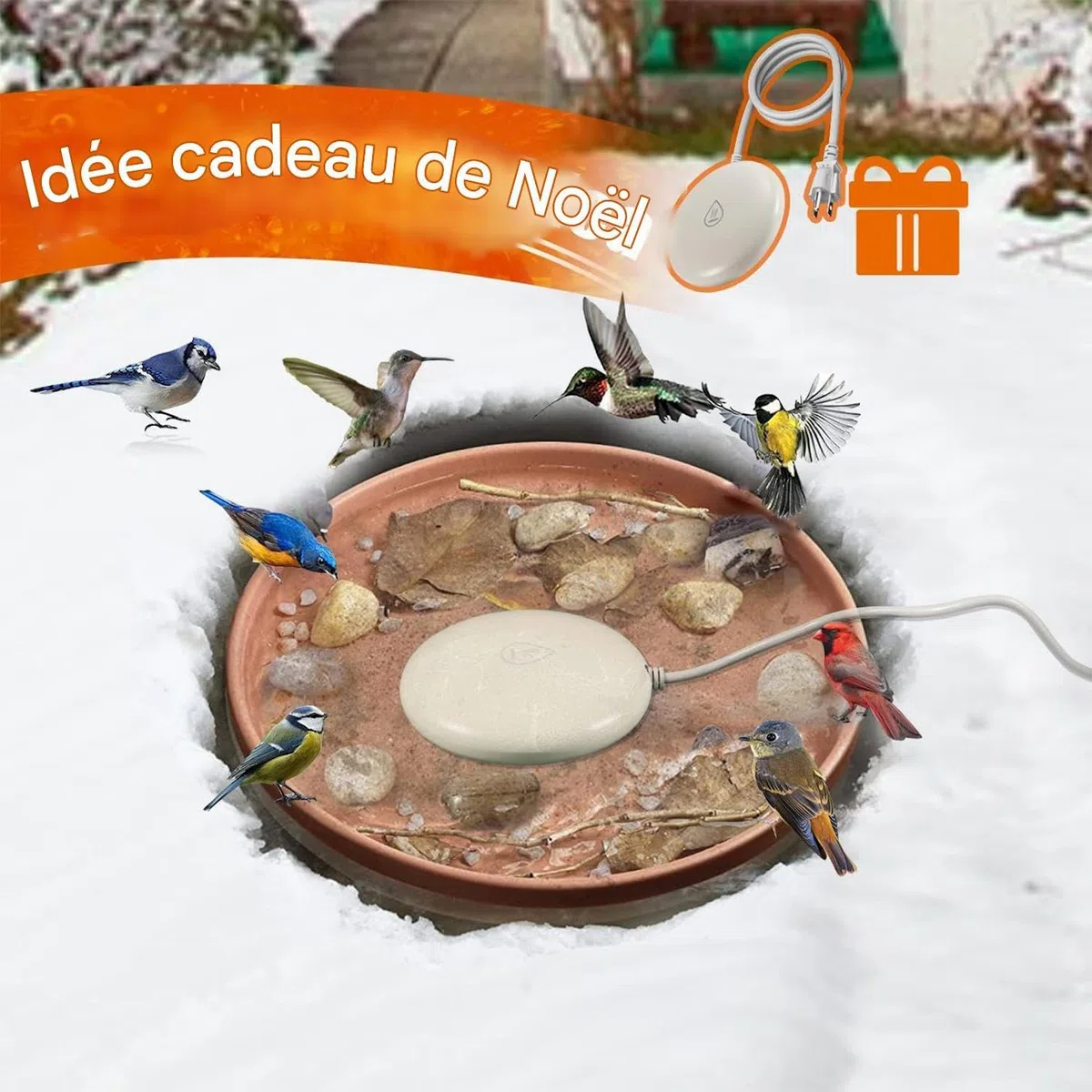Chauffe-Bassin Pour Oiseaux Durant L'Hiver - Chauffage Pour Bassin À Oiseaux - Dégivreur Pour Abreuvoir De Volailles | Pour Le Jardin, La Pelouse, Le Patio, L'Arrière-Cour, Le Poulailler Et Le