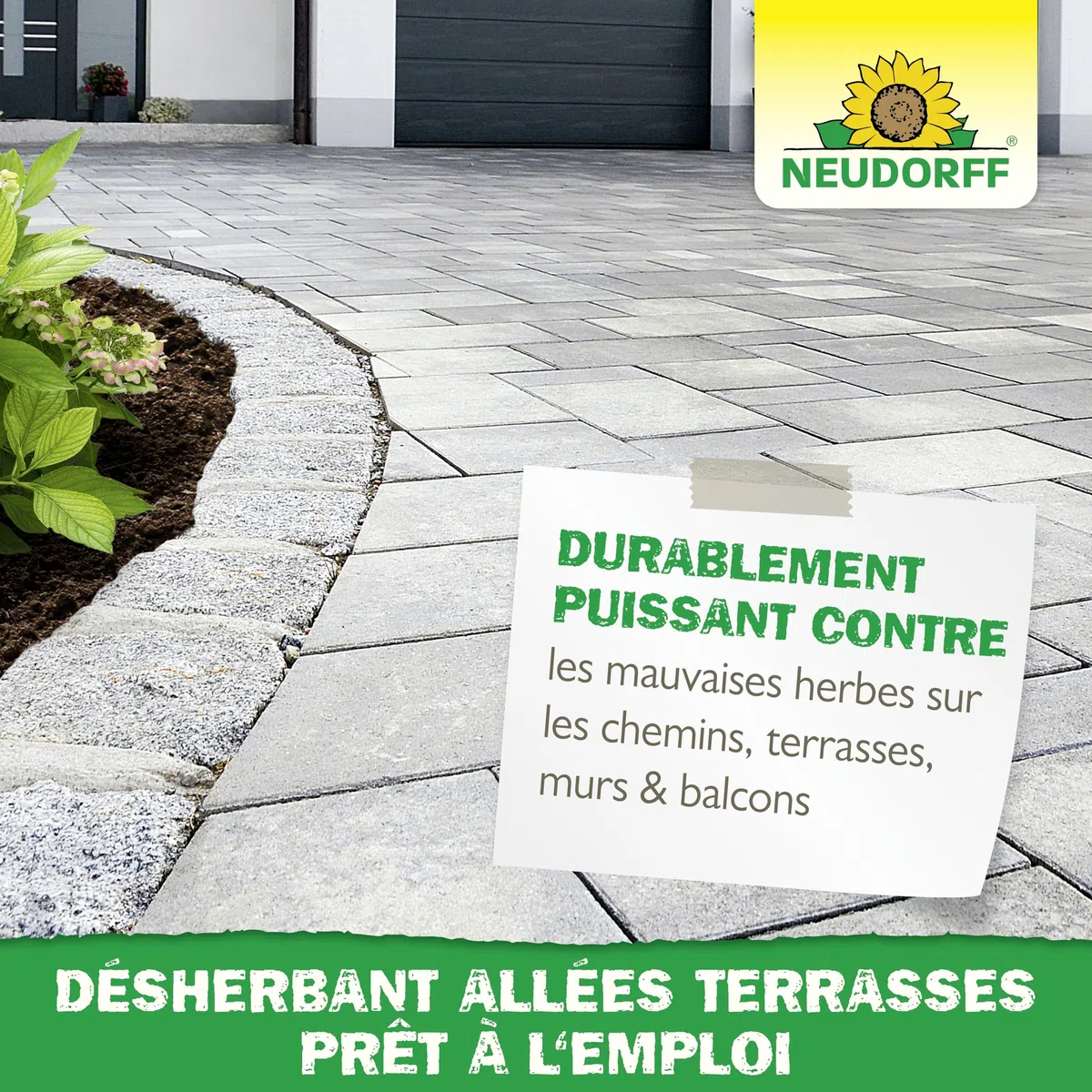 Neudorff Finalsan Désherbant Allées, Terrasses – Désherbant puissant sans glyphosate, action rapide sur mauvaises herbes et mousses, 1 L