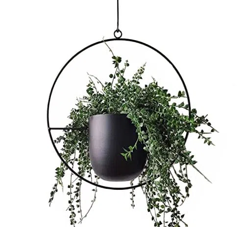 NCGL Suspension pour Plantes en Acrylique
