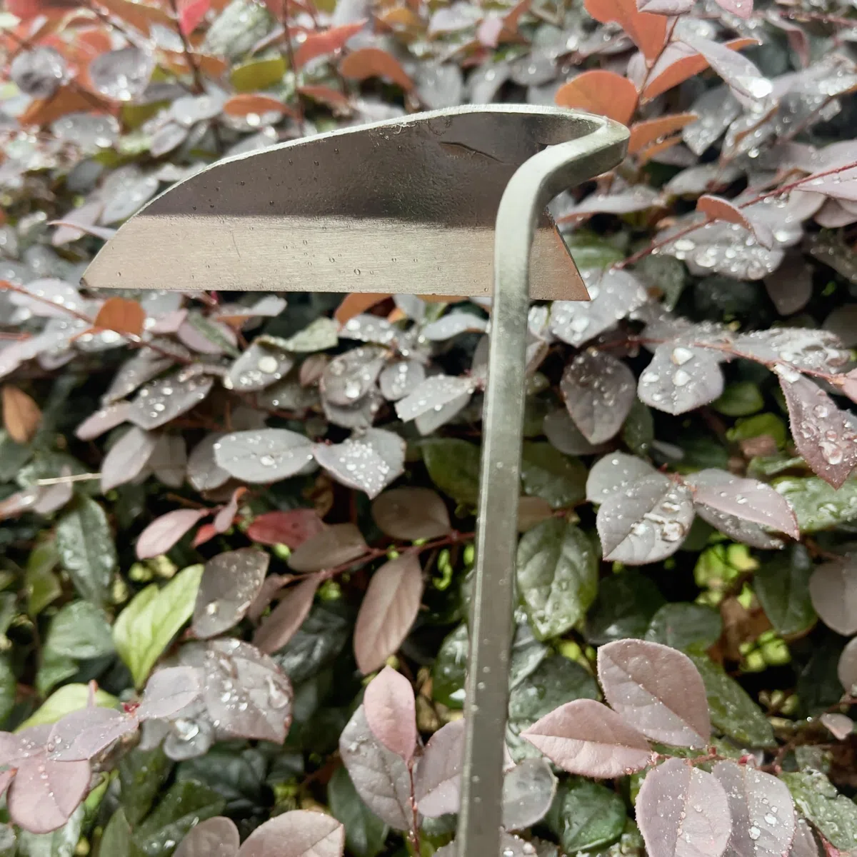 Alanx Faucille de jardinage japonaise de 12 pouces, houe à désherber avec manche en bois long