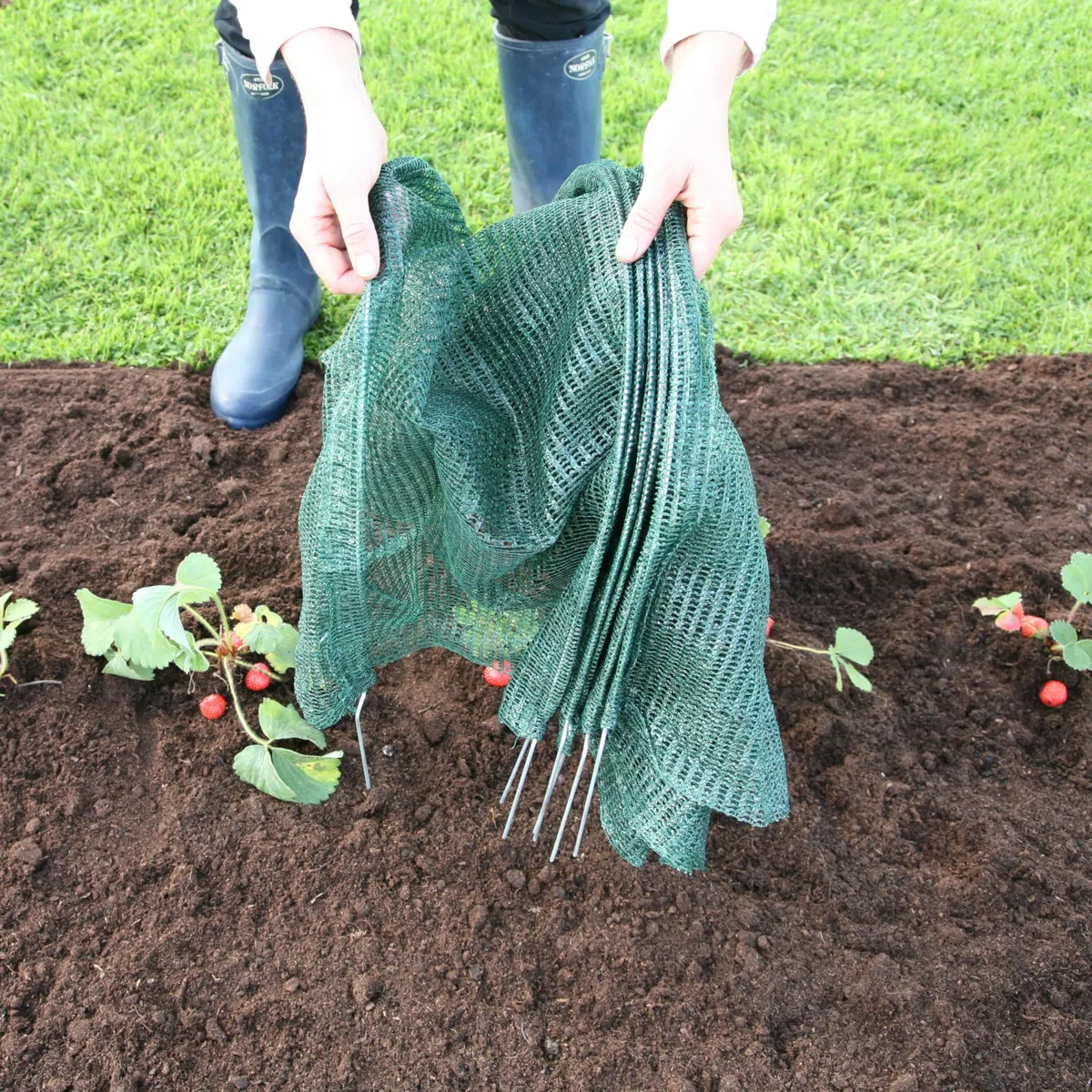Bosmere Haxnicks Etun040101 Easy Tunnel, Serre Chenille, Blanc, 300 cm x 45 x 30 cm Tunnel à Filet Facile 300x45x30 cm Green