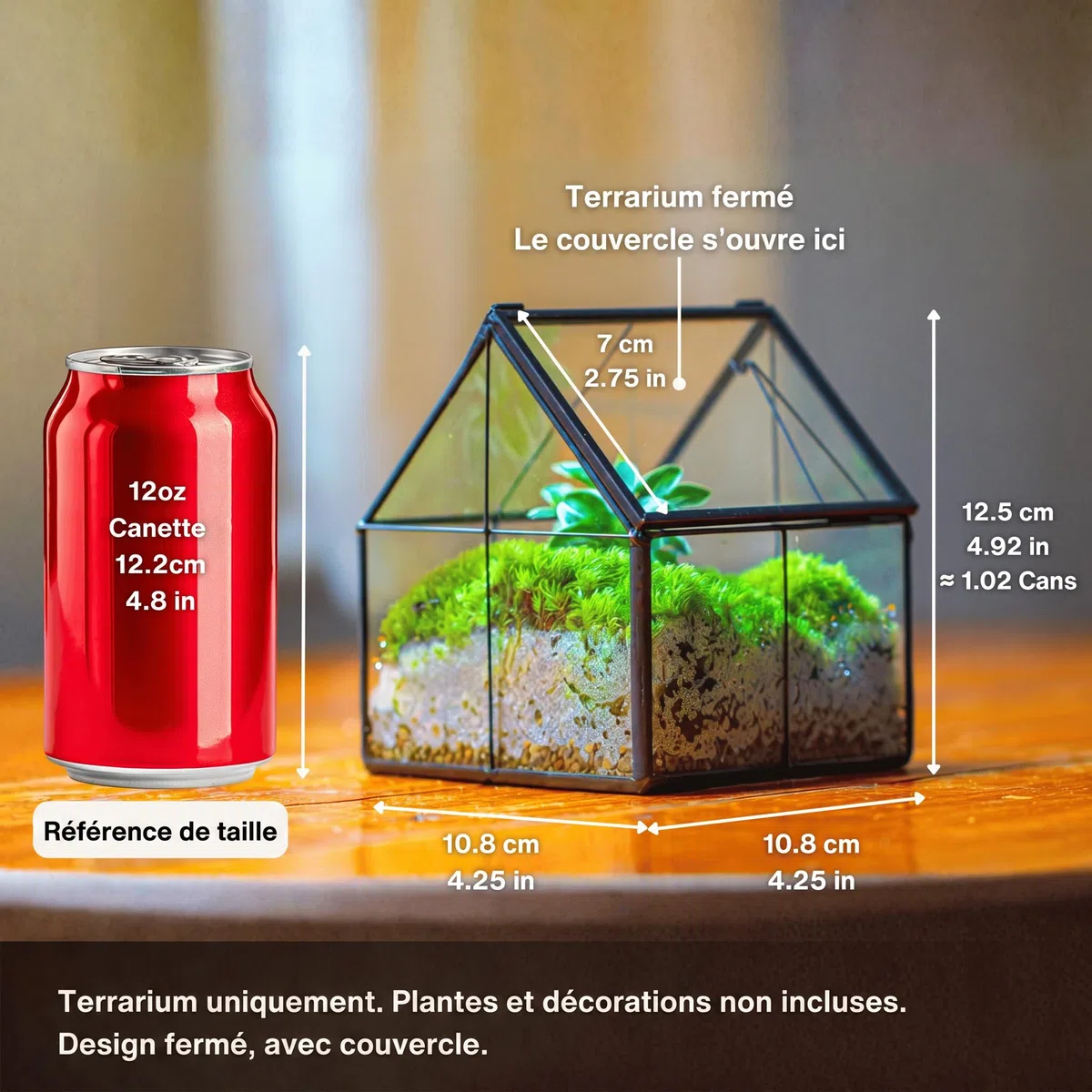 NCYP 10,8x10,8x12,5 cm Mini Noir Terrarium Géométrique en verre avec couvercle Fait à la main, Pour petites plantes succulentes, Décoration de table pour la maison jardin bureau (Terrarium Uniquement)