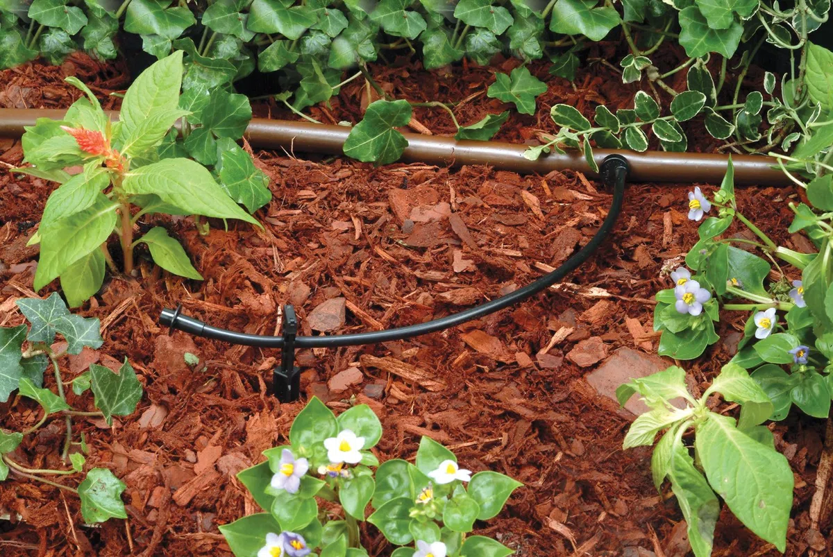 Rain Bird T22-100S Tuyau de distribution vide pour irrigation goutte à goutte 0,6 cm, rouleau de 30,5 m, noir