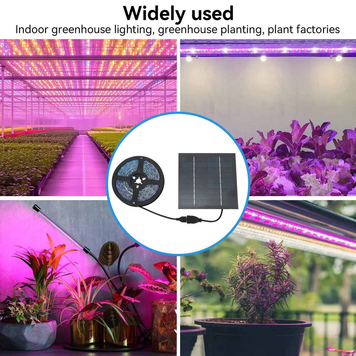 HERCHR Bande Lumineuse de Culture de Plantes Solaires, 5W 5V 5A Lampes de Culture à Énergie Solaire Poussent des Bandes Lumineuses Lampe Chauffante LED 5M pour Serre de Jardin