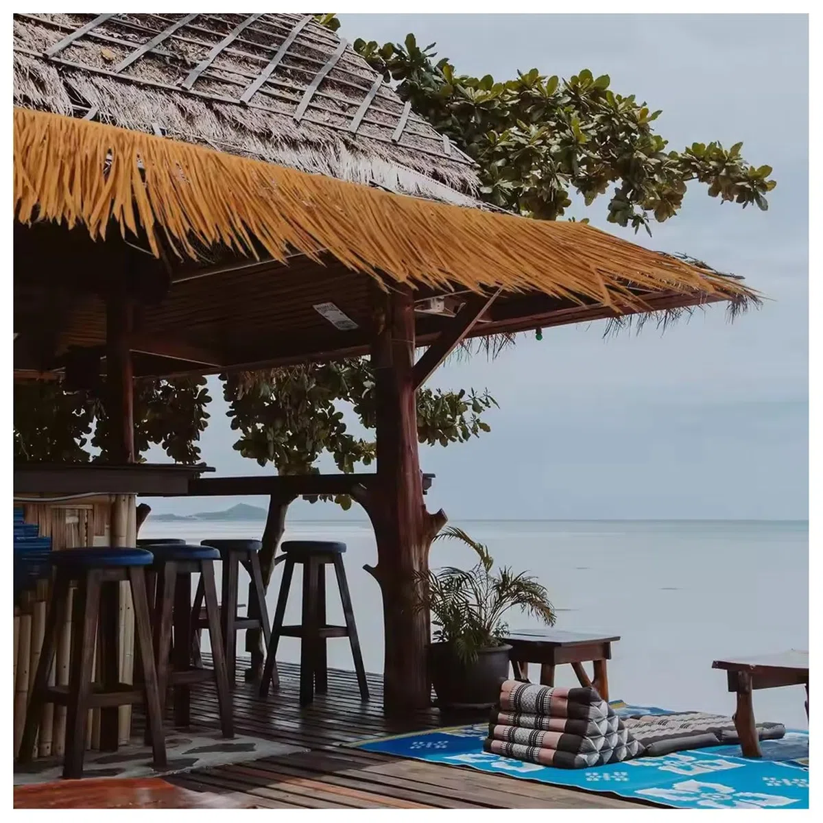 Toit De Paille En Herbe Chaume De Palmier Synthétique Pour Toiture De Paillote, Bar Tiki Ou Parasol De Jardin, Idéal Pour Ambiance Plage, Facile À Poser Artisanat De Bricolage D'art Commercial(0.5m x