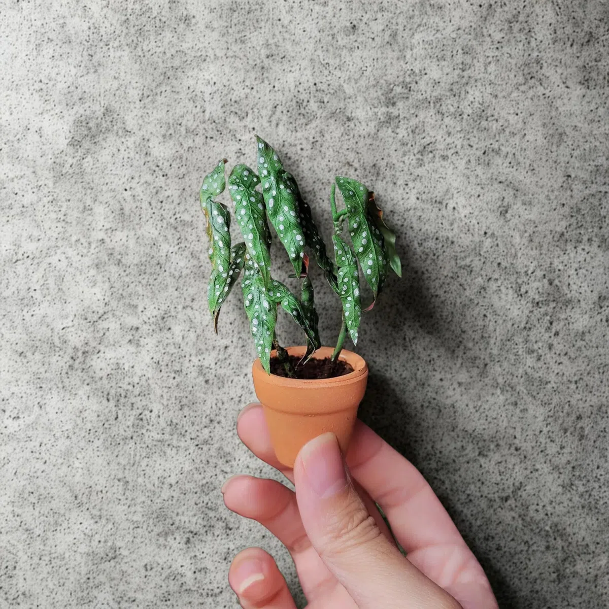 Lot de 30 mini pots de fleurs en terre cuite pour plantes grasses, cactus, loisirs créatifs, jardin féérique, maison de poupée, projets scolaires (cylindre classique, 3,5 cm)