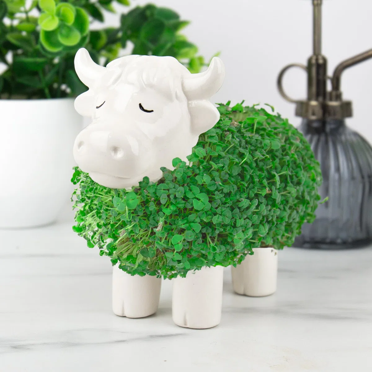 Jardinière en forme de vache des Highland Chia - Joli ornement de bureau en forme d'animal, mini kit de jardin pour cultiver votre petite plante pour enfants et adultes