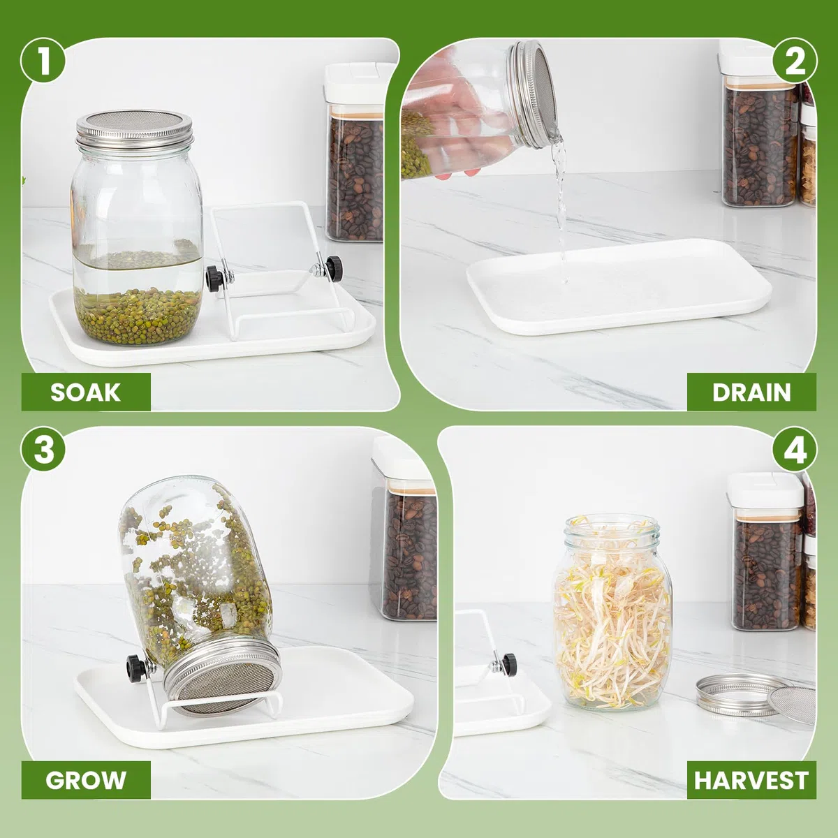 Germoir pour Graines à Germer en Verre, 2 x 1000ml Bocal de Germination avec Couvercle en Acier Inoxydable, Support Réglable et Plateau Blanc, pour Lentilles, Alfalfa, Haricots Mungo