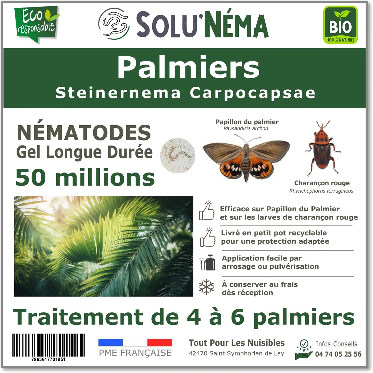 SOLUNEMA - Nématodes Contre le Papillon du Palmier et le Charançon Rouge - 50 millions - Pour 4 à 6 Palmiers