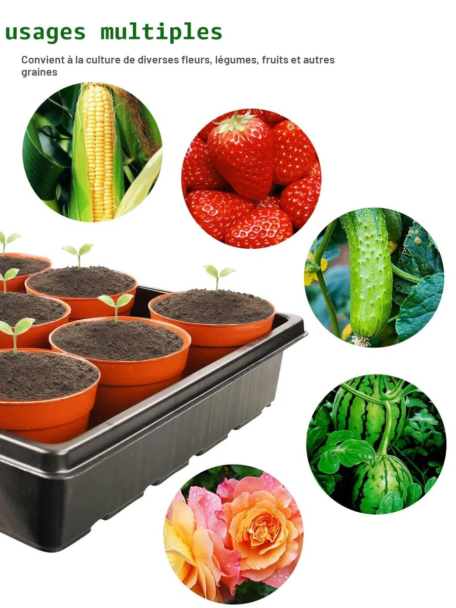 Plateaux de Semis pour Semis Plateaux de Jardin sans Trous Lot de 6 rectangulaires de semences de Plantes pour Pots