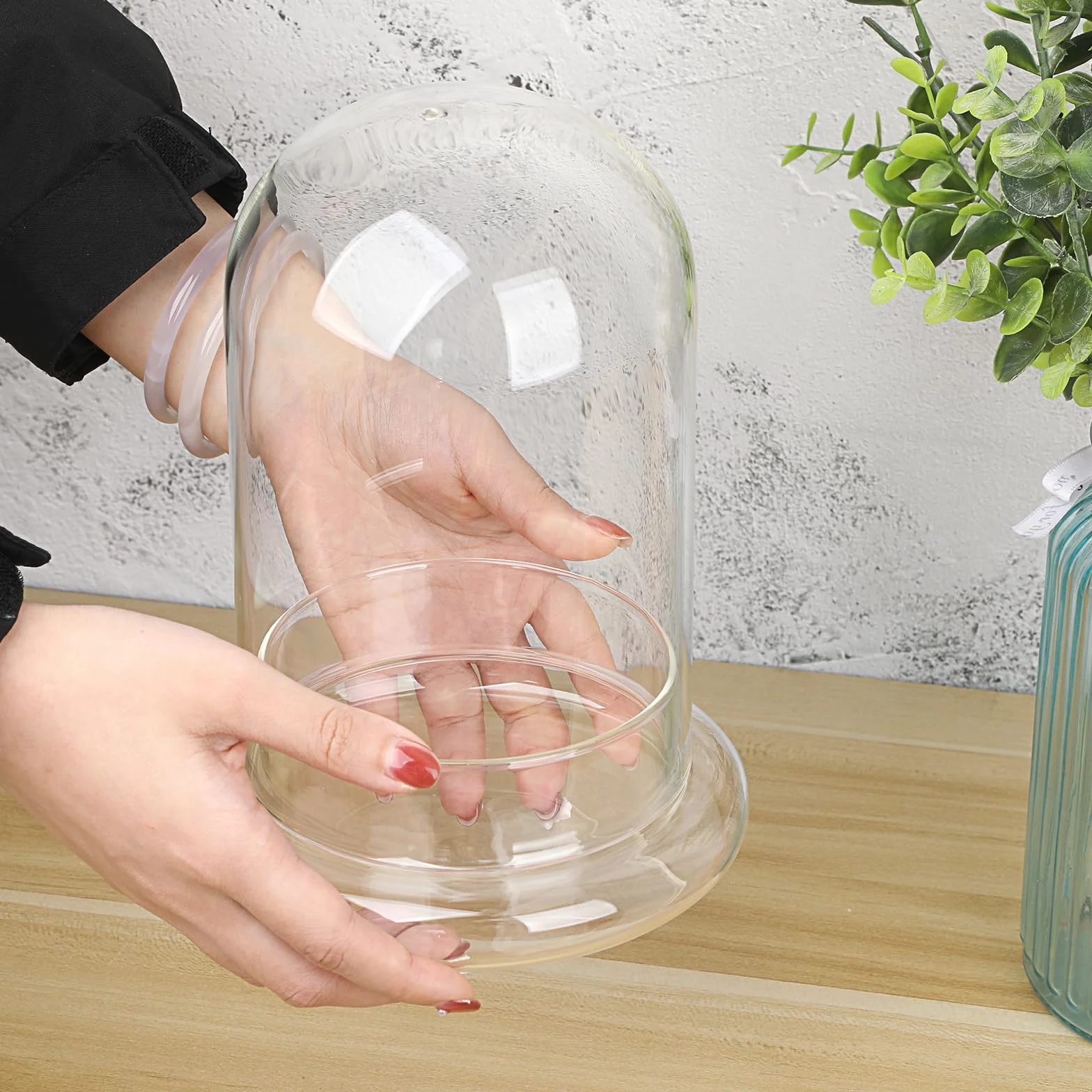 Mini pot de terrarium pour plantes succulentes - Dôme en verre transparent avec trou d'aération de 3 mm - Cloche décorative en verre avec fond en verre - Décoration de table pour bureau