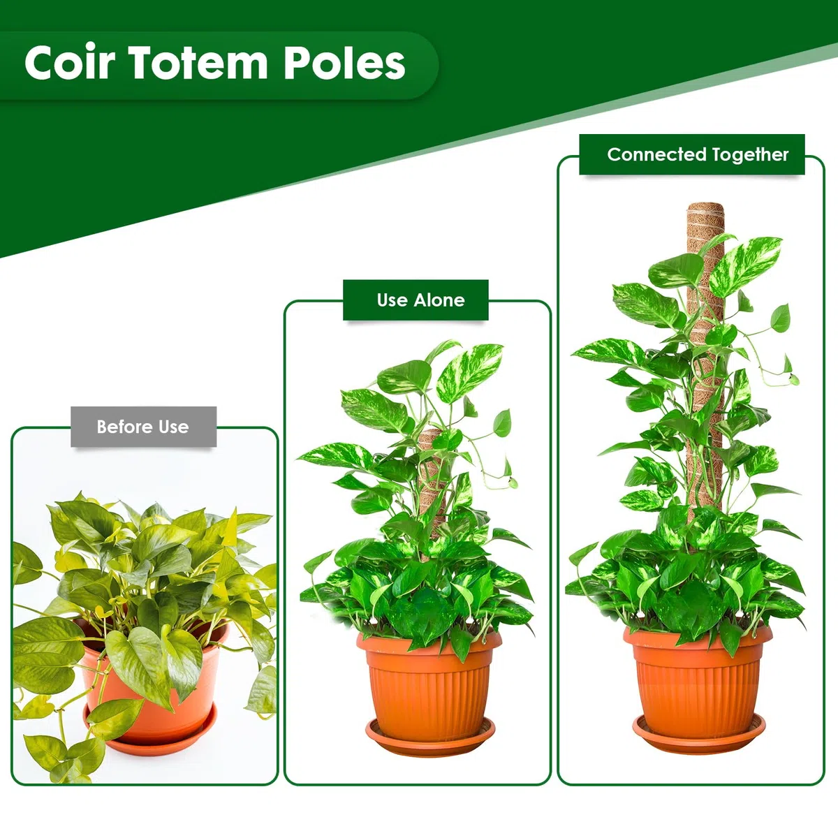 Mactoou Tuteur Monstera, 4 Pièces 41cm Tuteur Coco, Extension Sphaigne Jusqu'à 120cm, Tuteur Plante Grimpante pour Monstera Maison Jardin de Support de Plante