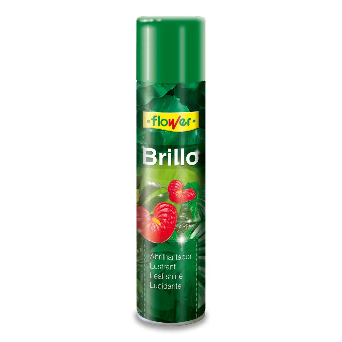 Flower 40501 – Spray Brillance pour Plante Naturelle hypoallergénique