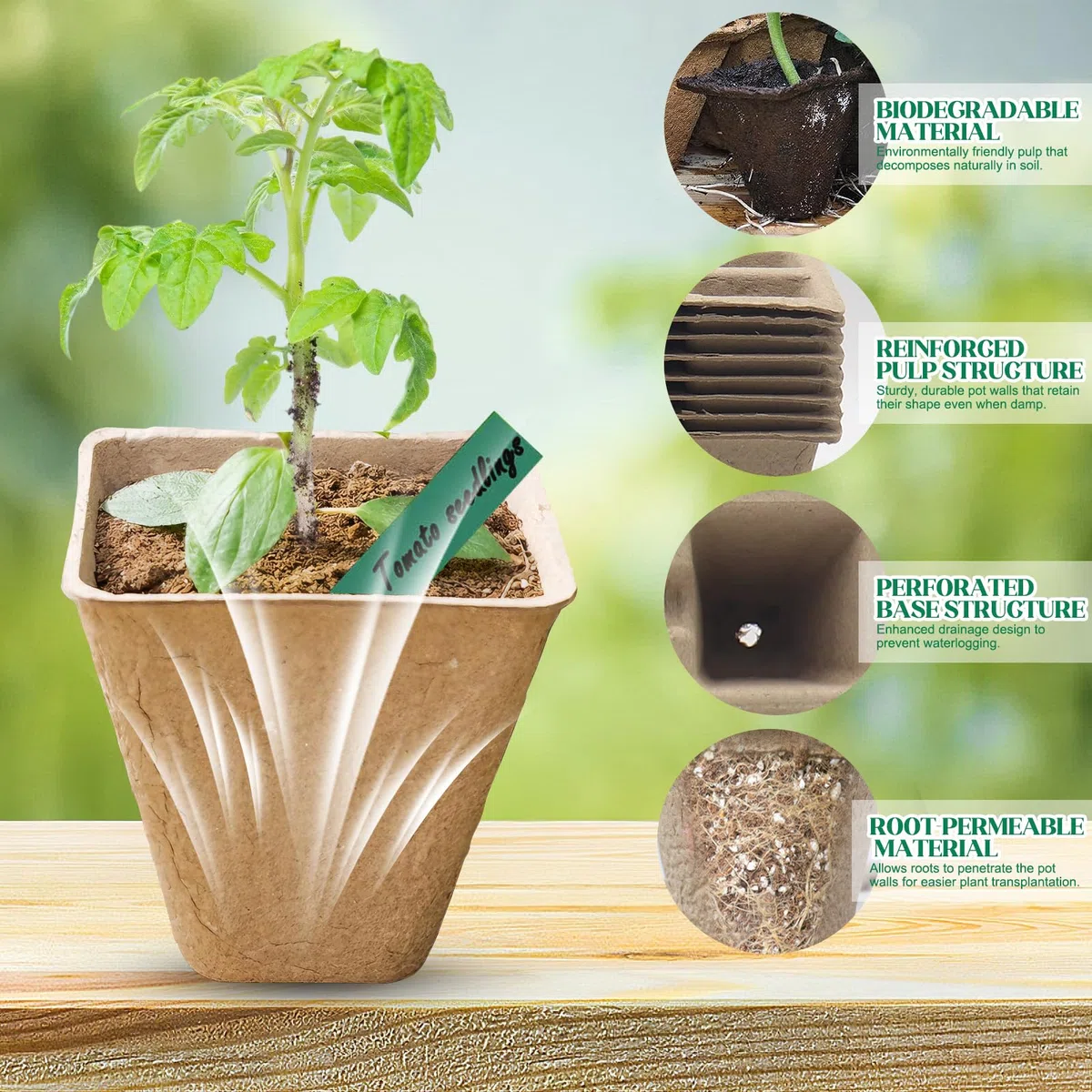 Plateaux de Semis Biodégradables 30 Pièces (10 Alvéoles) – Bacs à Semis Compostables en Fibre de Papier avec Trous de Drainage – Idéal pour Graines, Légumes, Fleurs et Jardinage Écologique