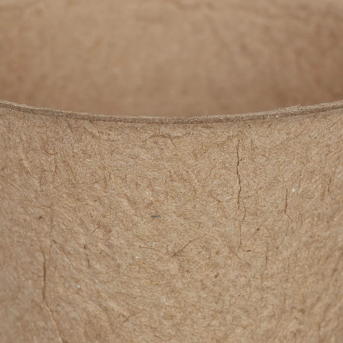 Relaxdays Godet pour semis, Lot de 80, Cellulose, HxD: 5x6 cm, Pots Ronds pour légumes, Nature