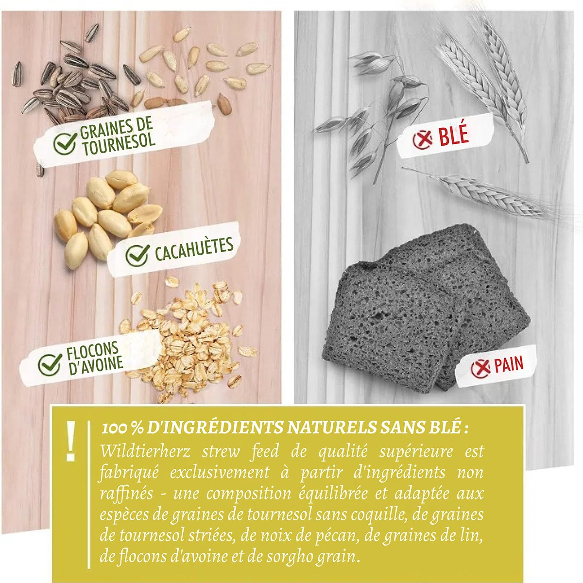 Rêve d'Oiseau - Graines pour Oiseaux Sauvages sans Blé, Nourriture Vivaces Extérieur (2,5kg)
